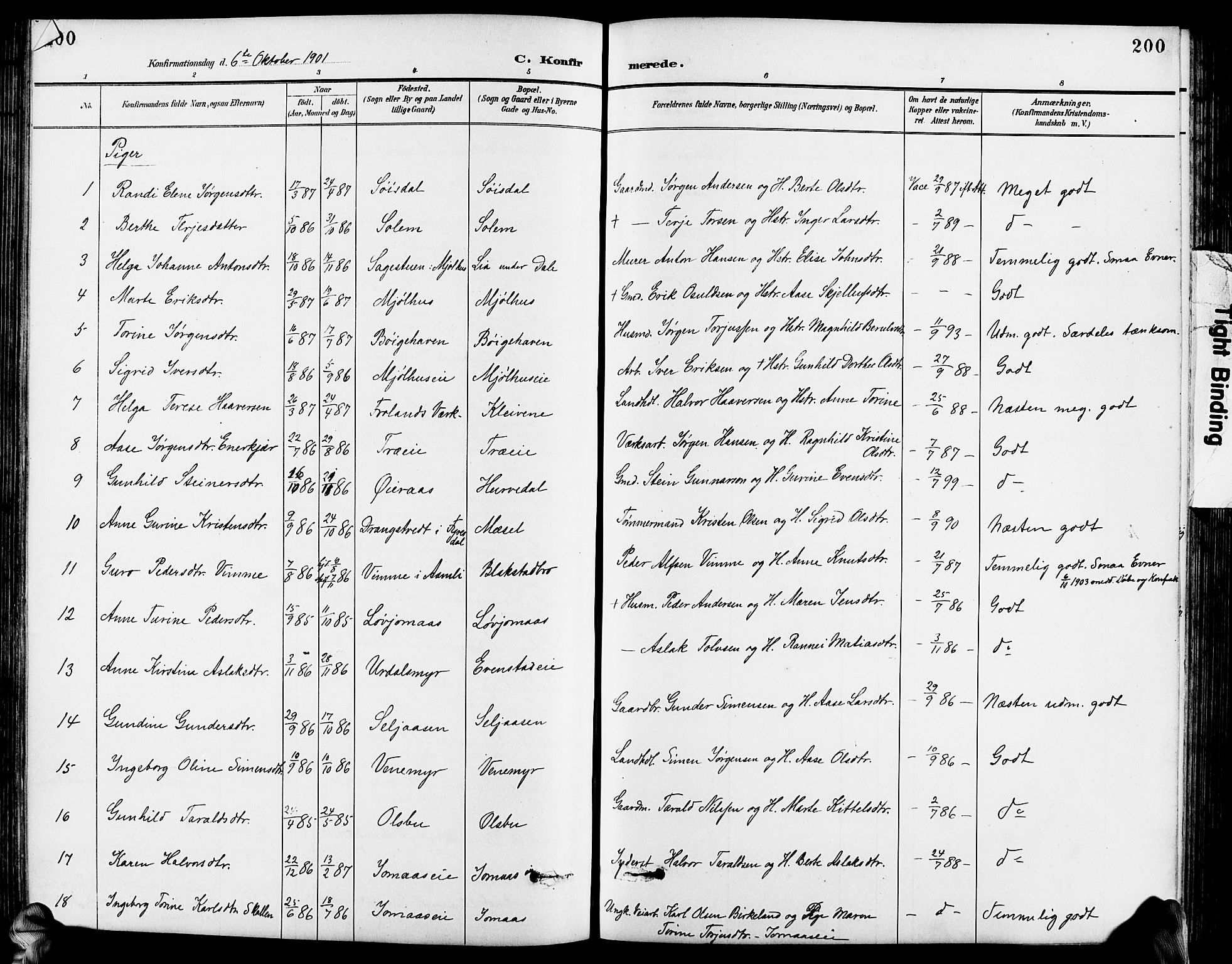 Froland sokneprestkontor, SAK/1111-0013/F/Fb/L0010: Parish register (copy) no. B 10, 1893-1920, p. 200