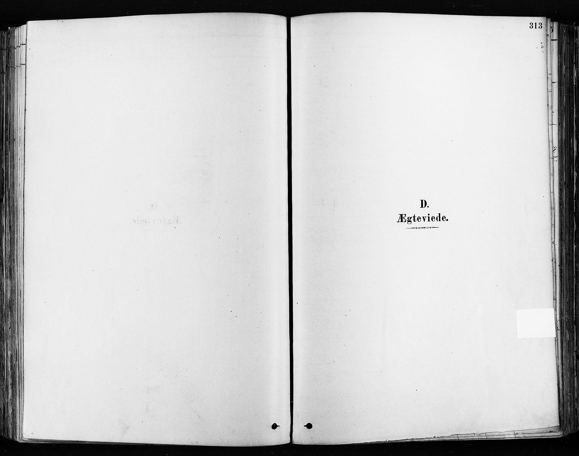 Tune prestekontor Kirkebøker, SAO/A-2007/F/Fa/L0017: Parish register (official) no. 17, 1878-1887, p. 313
