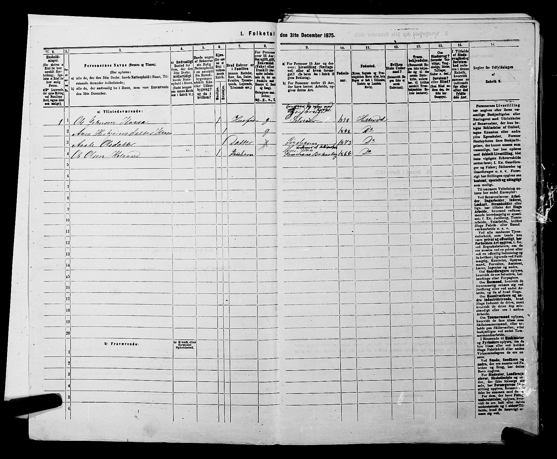 SAKO, 1875 census for 0823P Heddal, 1875, p. 217