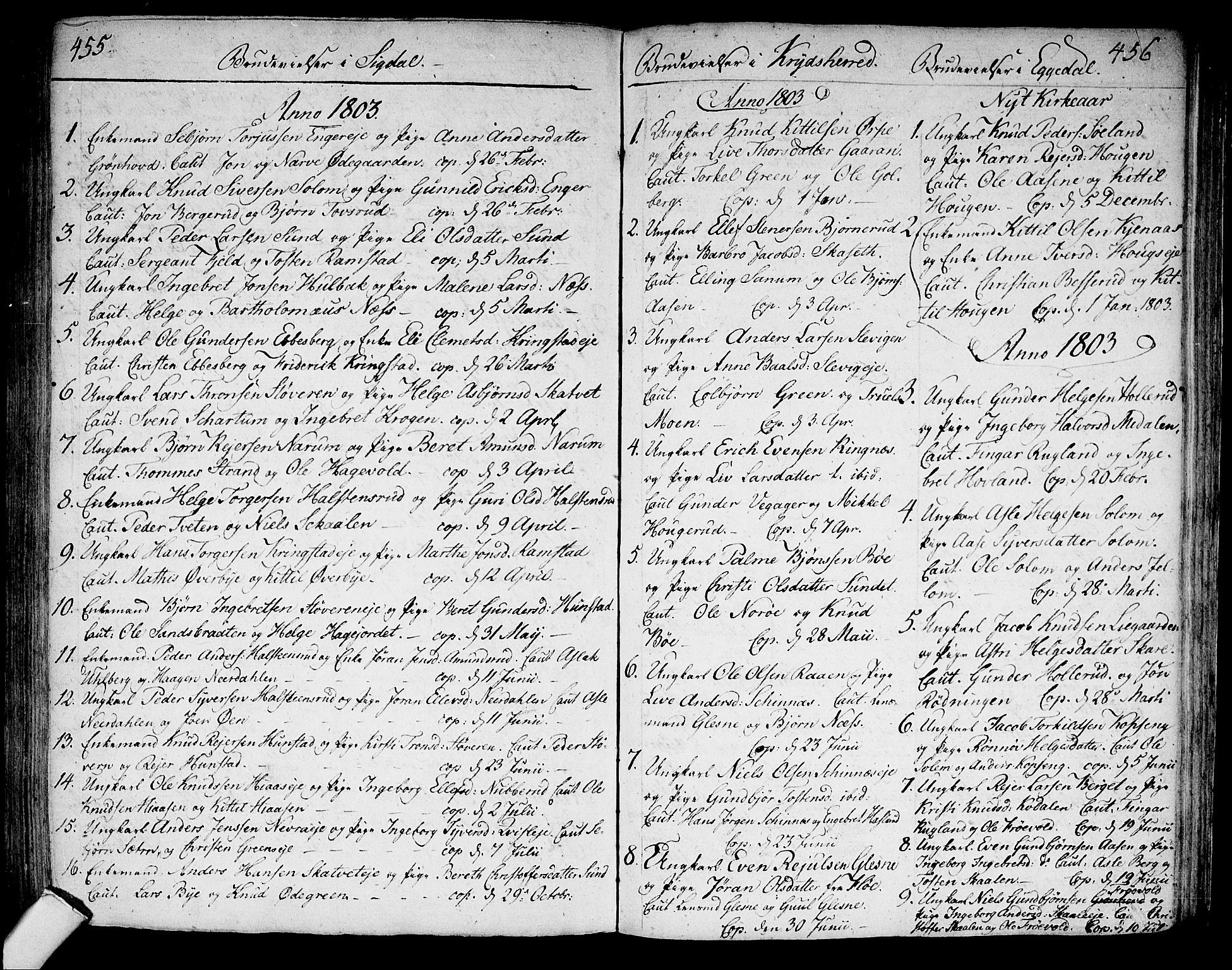 Sigdal kirkebøker, SAKO/A-245/F/Fa/L0003: Parish register (official) no. I 3, 1793-1811, p. 455-456