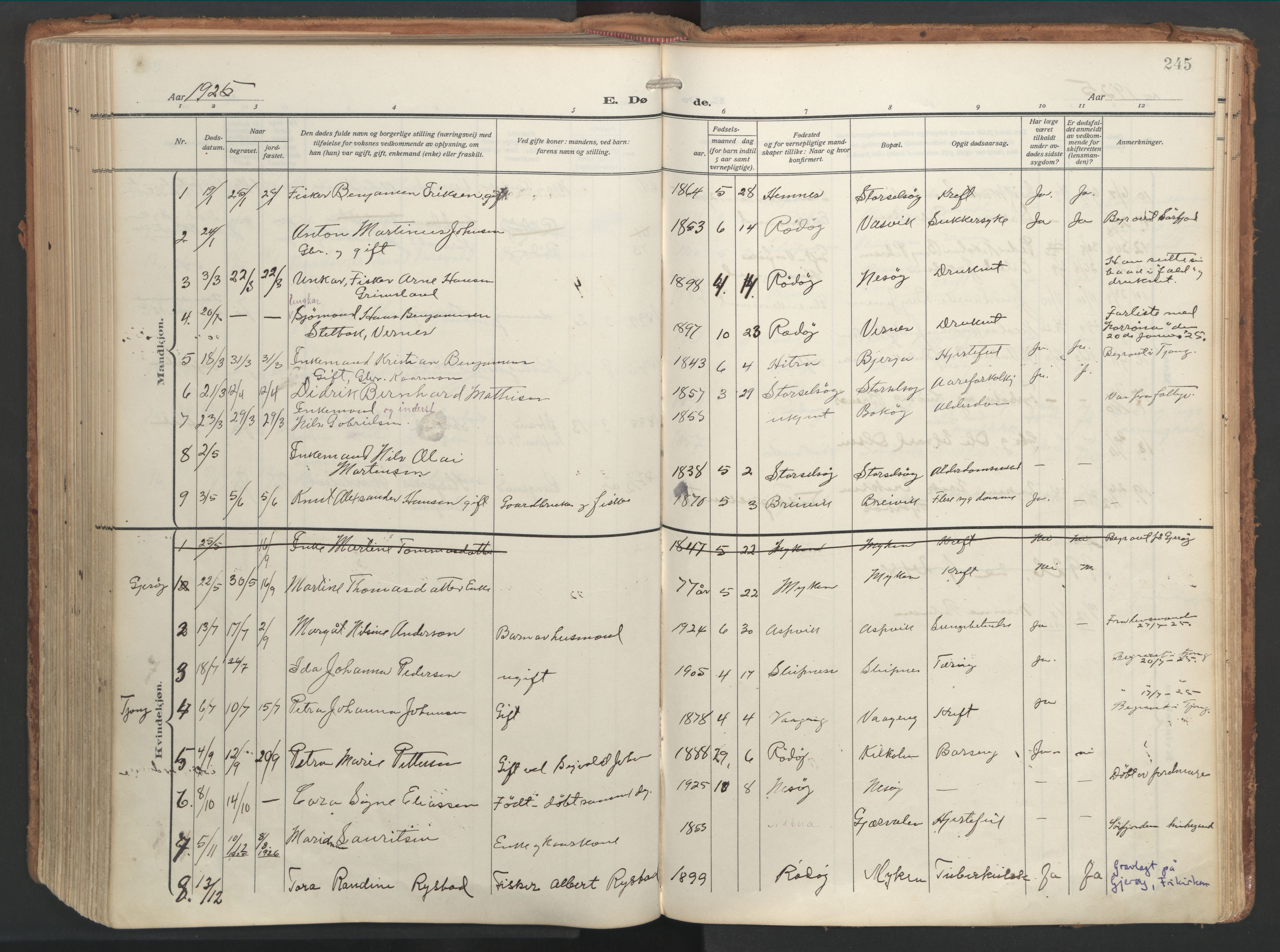 Ministerialprotokoller, klokkerbøker og fødselsregistre - Nordland, SAT/A-1459/841/L0614: Parish register (official) no. 841A17, 1911-1925, p. 245