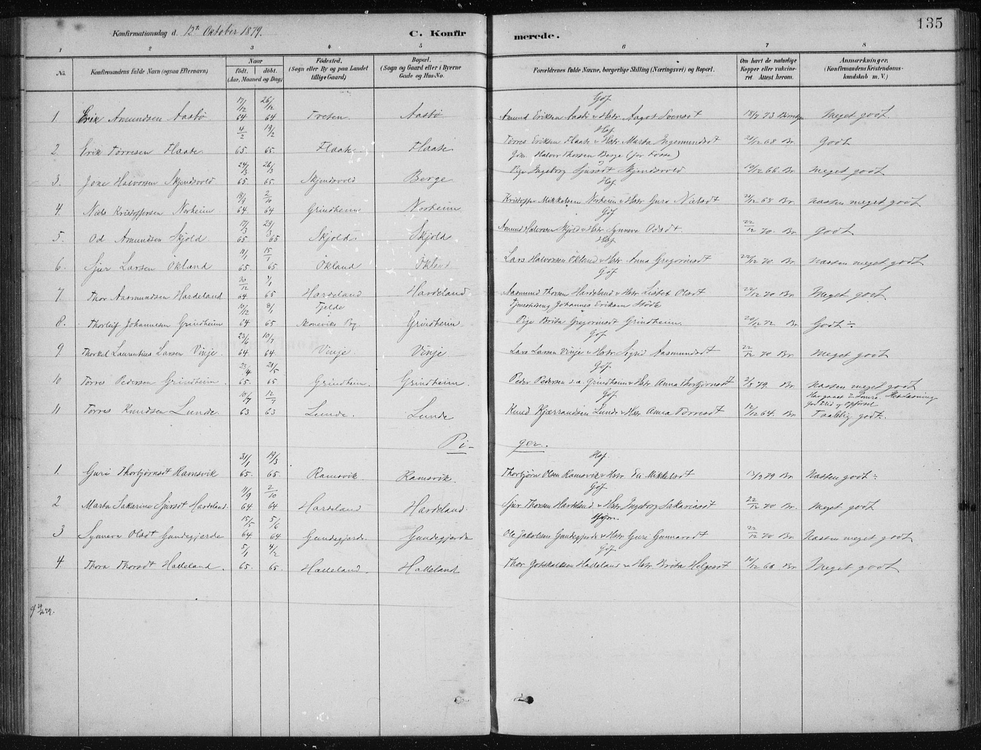 Etne sokneprestembete, SAB/A-75001/H/Haa: Parish register (official) no. D  1, 1879-1919, p. 135