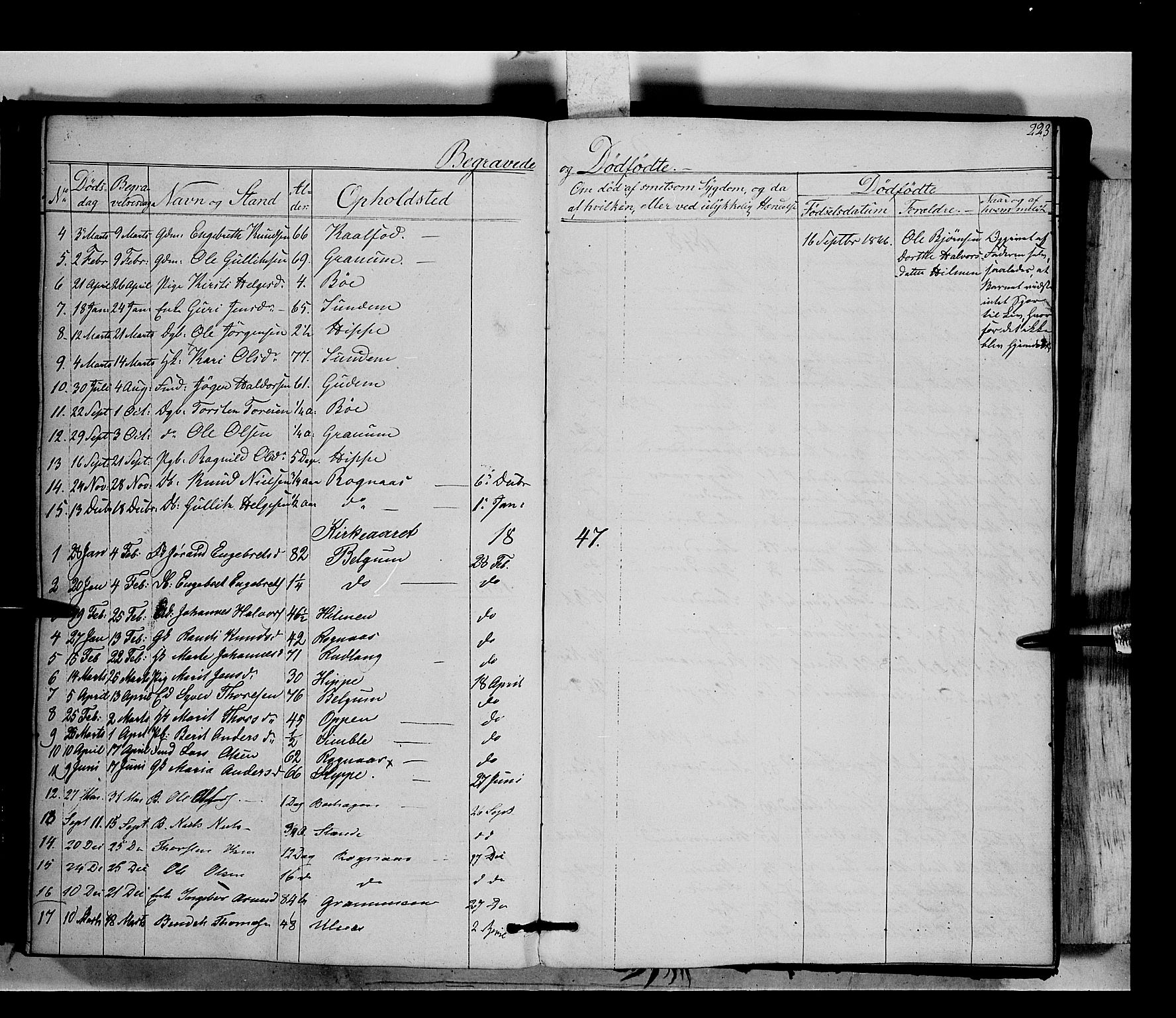 Nord-Aurdal prestekontor, SAH/PREST-132/H/Ha/Haa/L0006: Parish register (official) no. 6, 1842-1863, p. 223