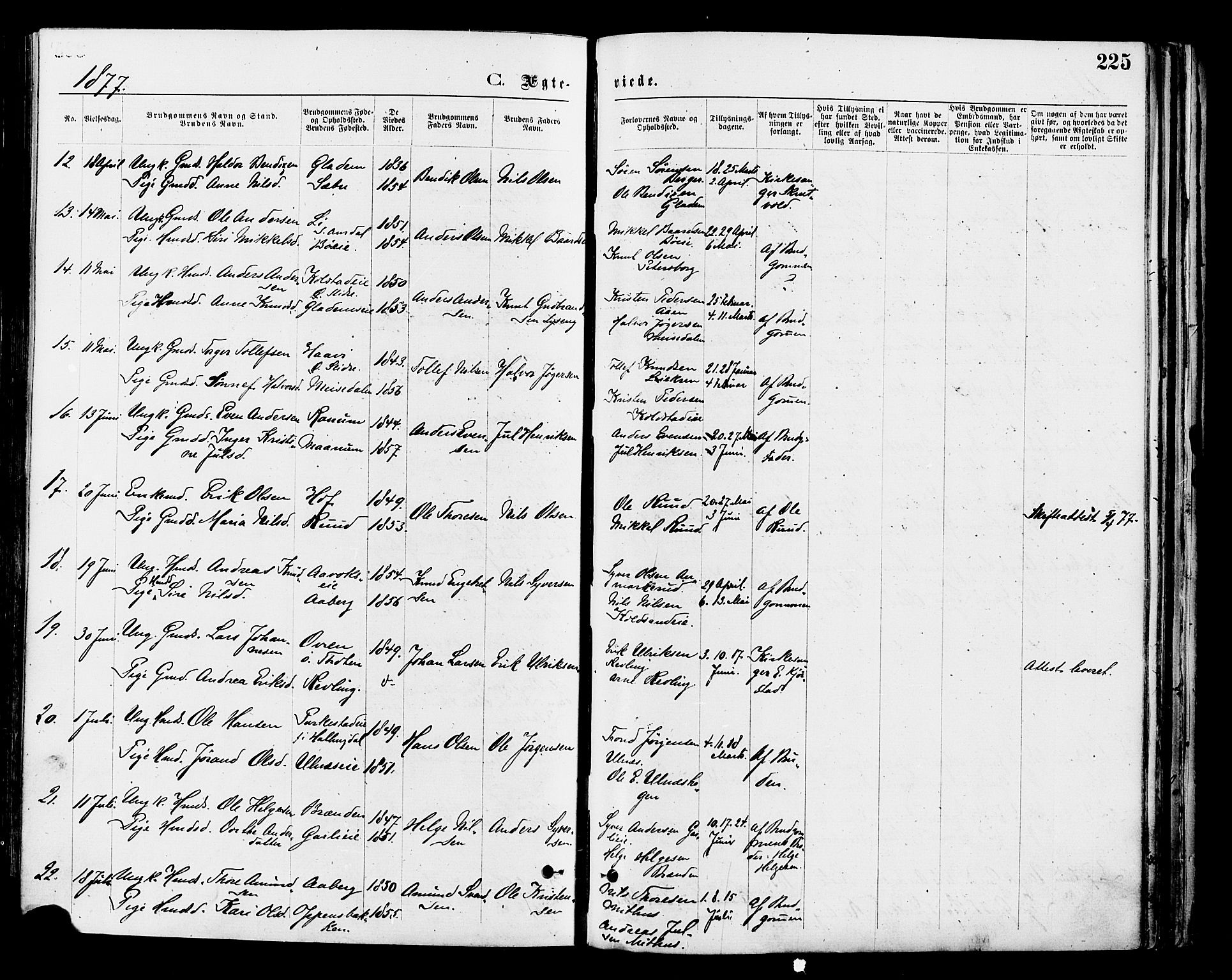 Nord-Aurdal prestekontor, SAH/PREST-132/H/Ha/Haa/L0009: Parish register (official) no. 9, 1876-1882, p. 225
