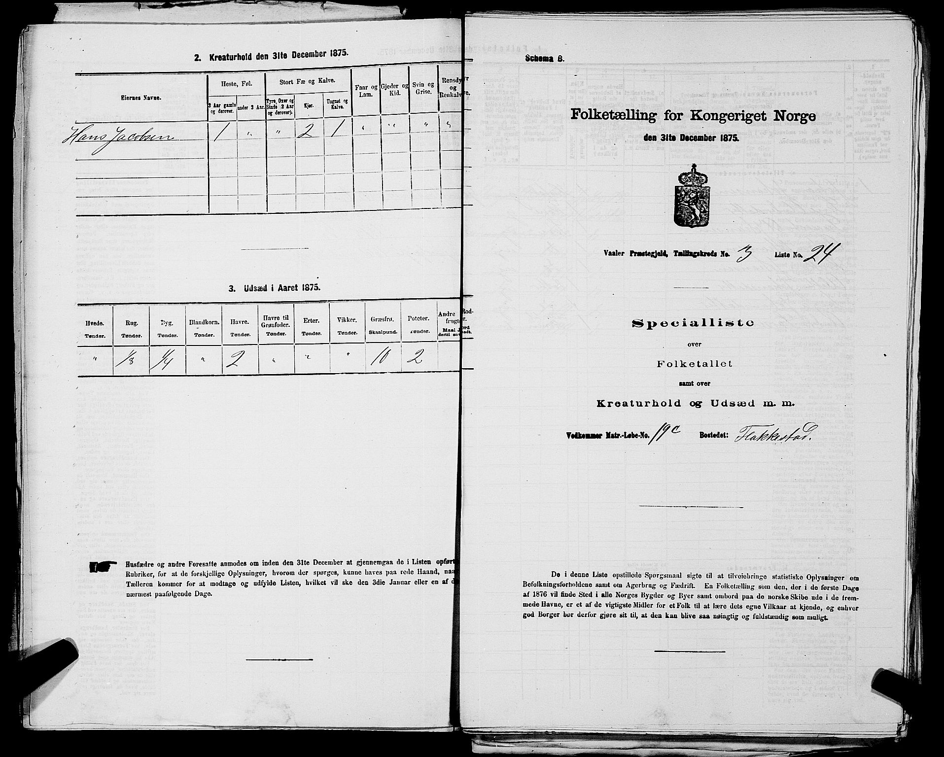 RA, 1875 census for 0137P Våler, 1875, p. 421