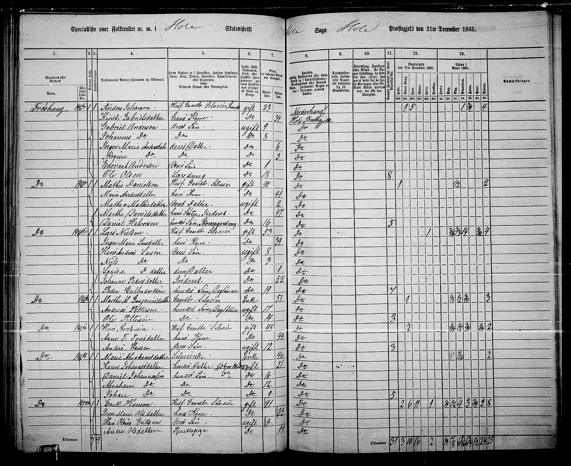 RA, 1865 census for Hole, 1865, p. 109