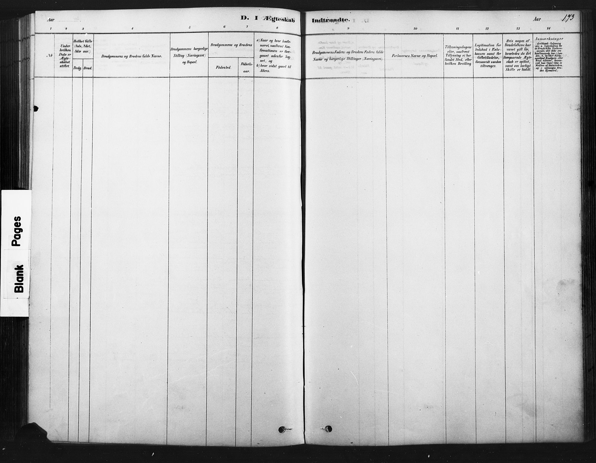 Åmot prestekontor, Hedmark, SAH/PREST-056/H/Ha/Haa/L0012: Parish register (official) no. 12, 1878-1901, p. 173