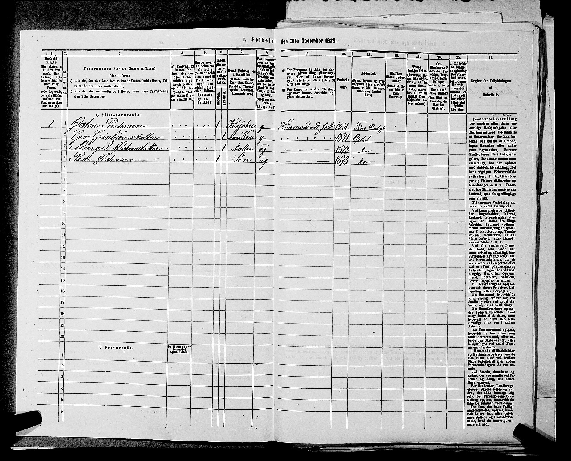 SAKO, 1875 census for 0633P Nore, 1875, p. 425