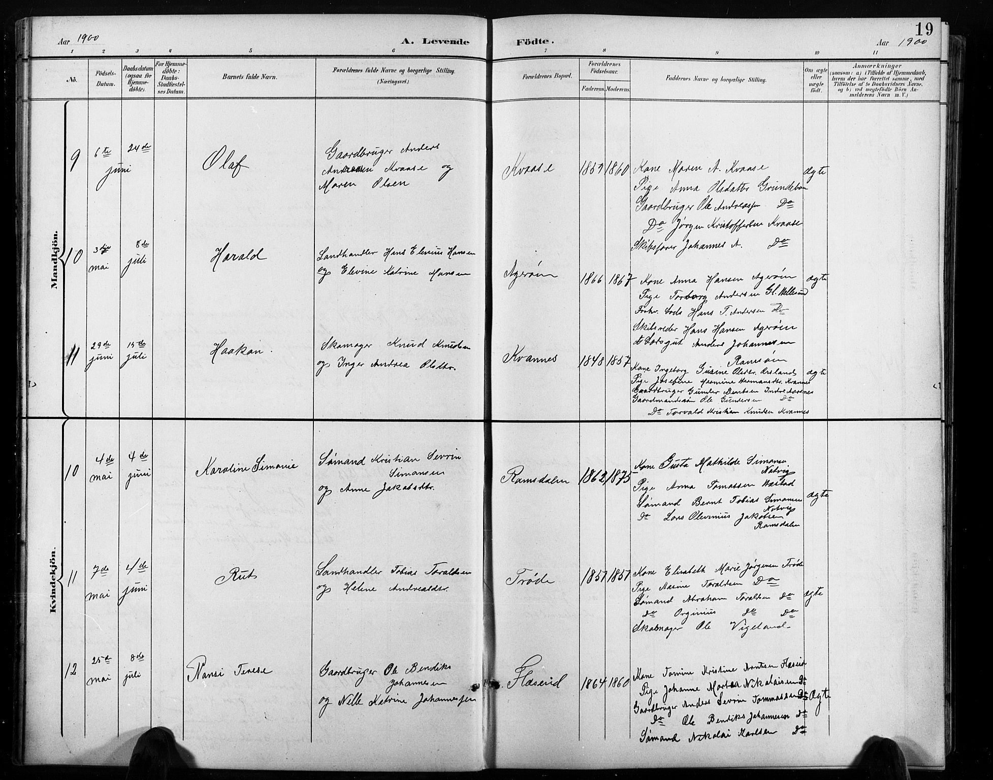 Høvåg sokneprestkontor, SAK/1111-0025/F/Fb/L0005: Parish register (copy) no. B 5, 1898-1929, p. 19