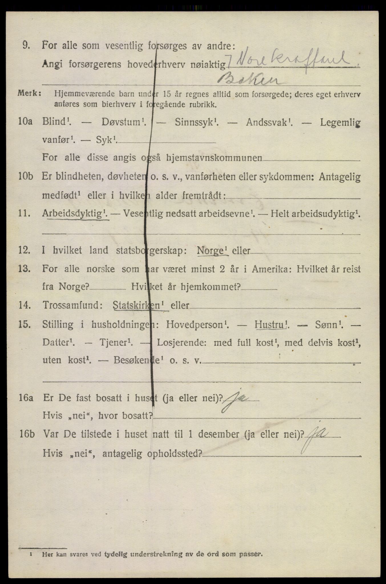 SAKO, 1920 census for Nore, 1920, p. 3989