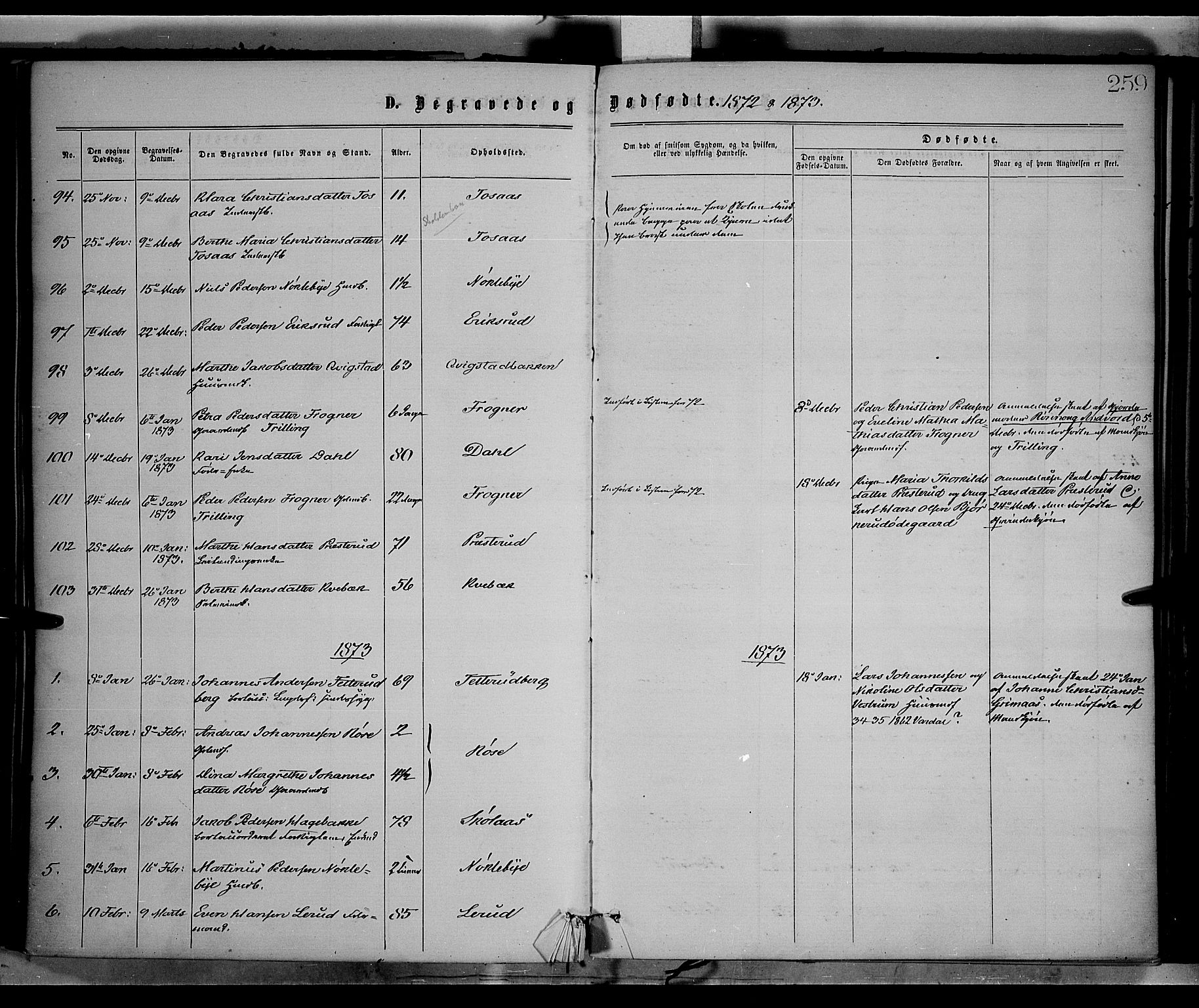 Vestre Toten prestekontor, SAH/PREST-108/H/Ha/Haa/L0008: Parish register (official) no. 8, 1870-1877, p. 259