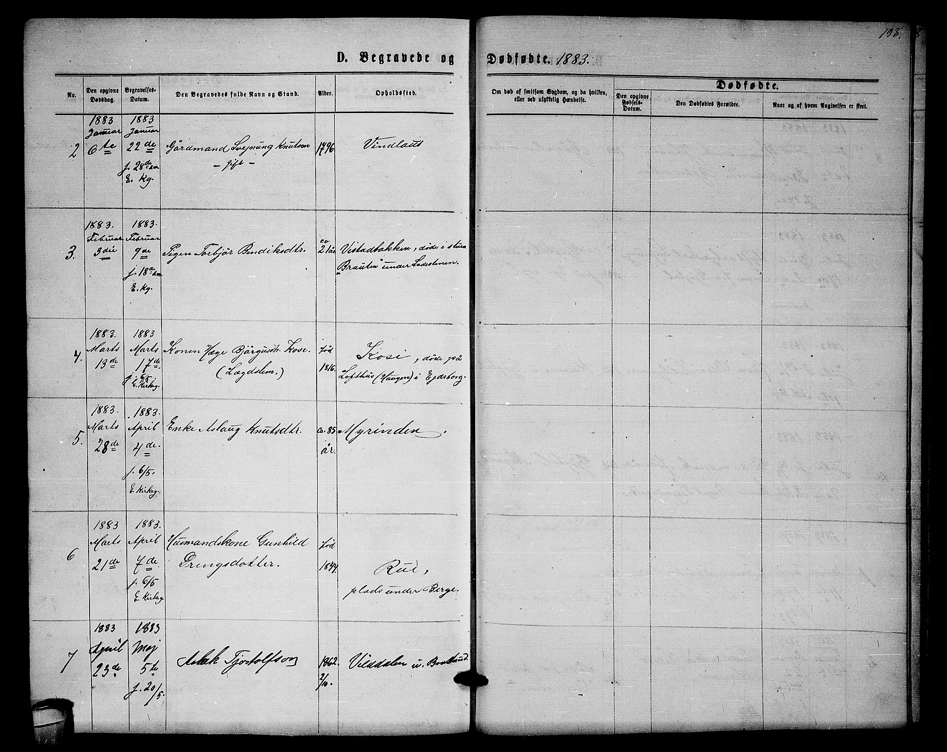 Lårdal kirkebøker, SAKO/A-284/G/Gb/L0002: Parish register (copy) no. II 2, 1865-1888, p. 193