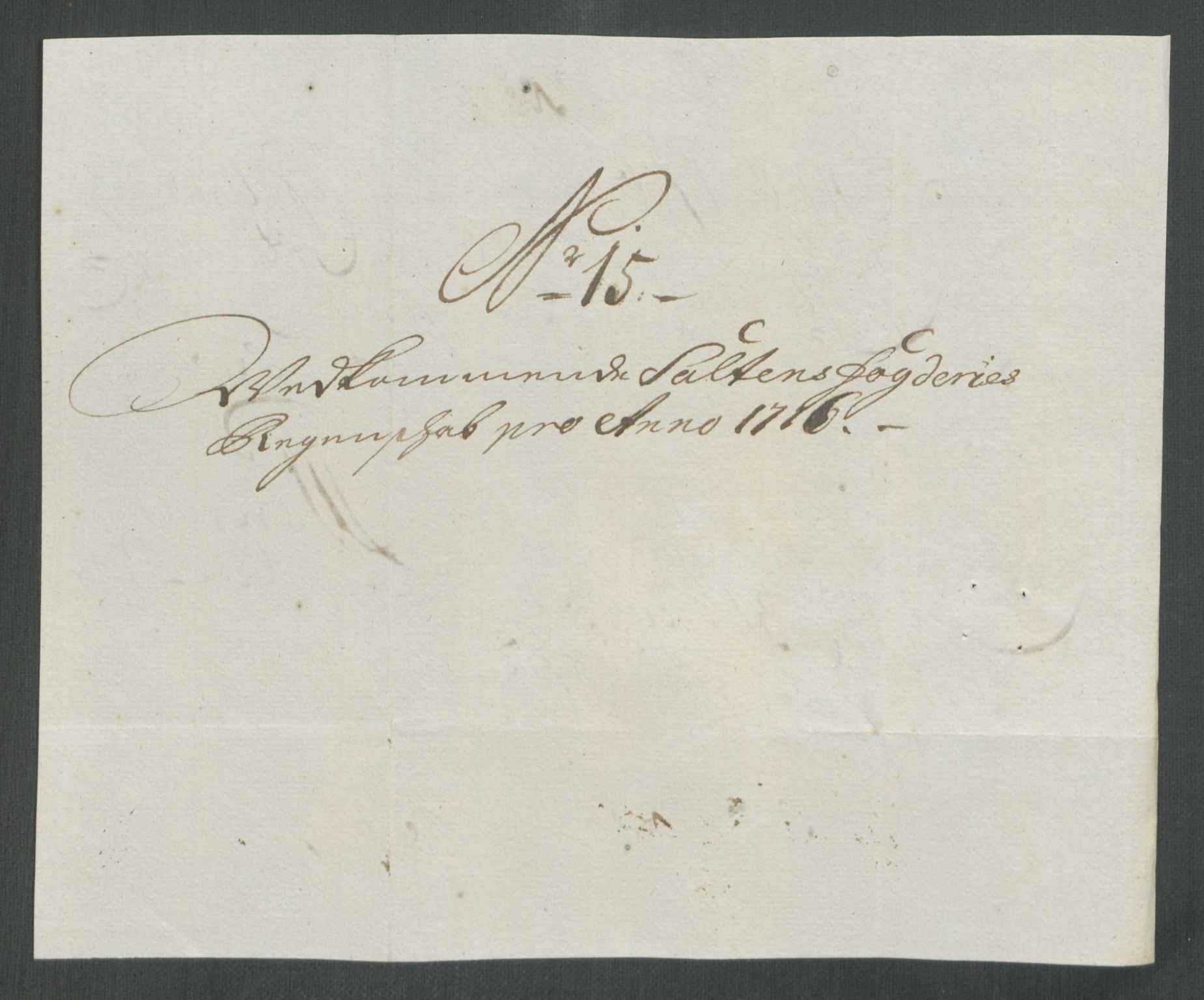 Rentekammeret inntil 1814, Reviderte regnskaper, Fogderegnskap, RA/EA-4092/R66/L4586: Fogderegnskap Salten, 1716, p. 119