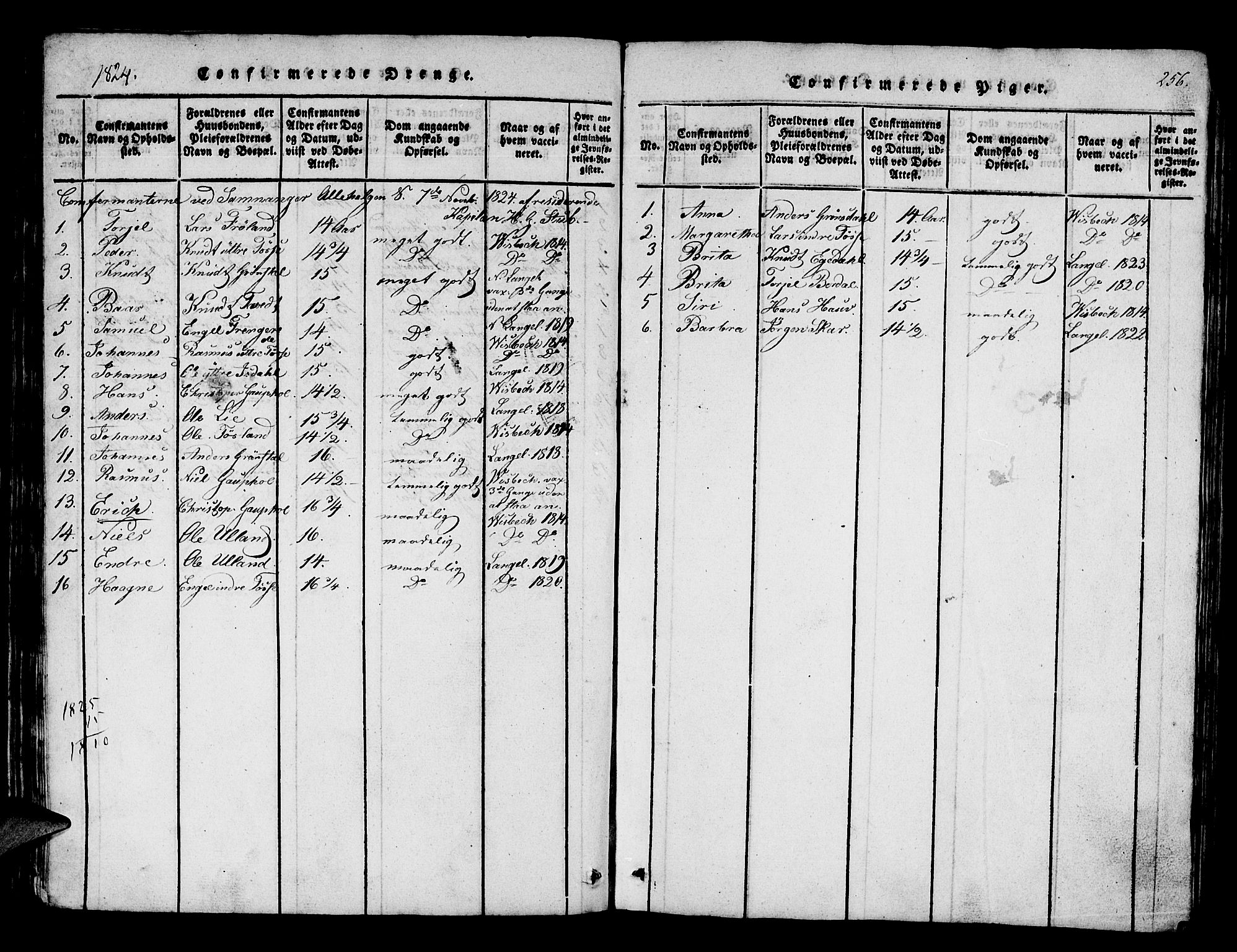 Os sokneprestembete, AV/SAB-A-99929: Parish register (official) no. A 12, 1816-1825, p. 256