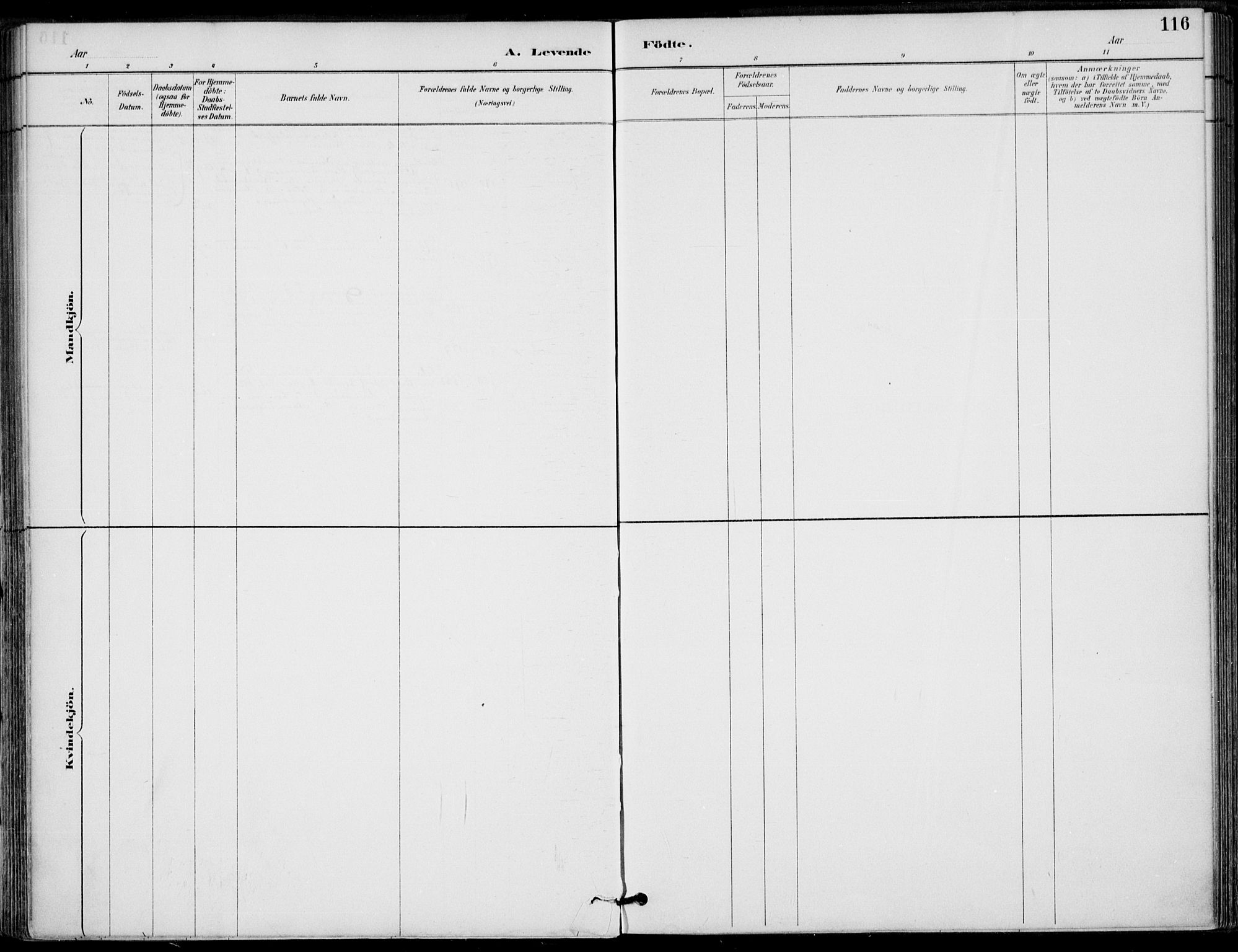 Ministerialprotokoller, klokkerbøker og fødselsregistre - Nordland, SAT/A-1459/825/L0362: Parish register (official) no. 825A16, 1886-1908, p. 116