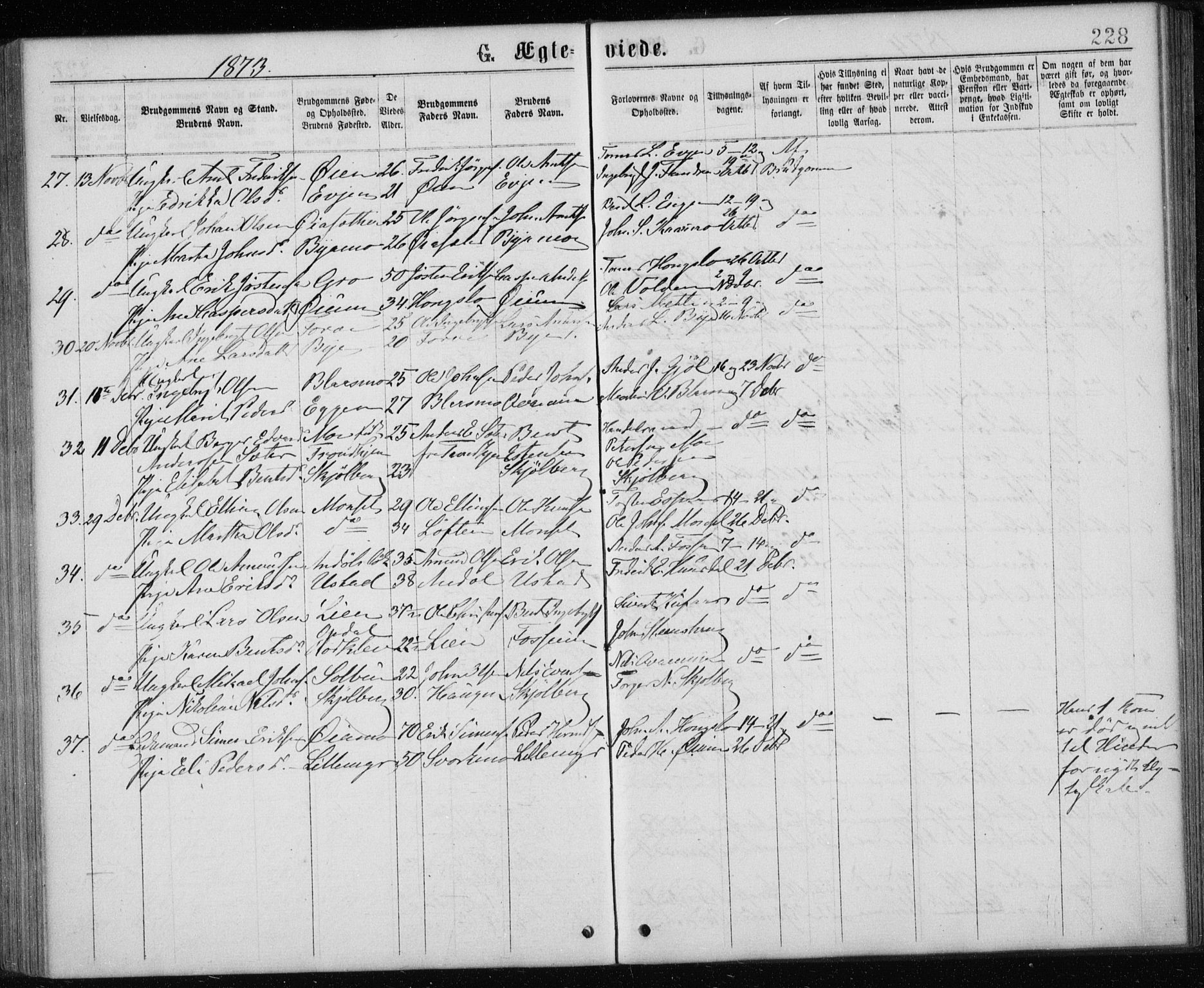 Ministerialprotokoller, klokkerbøker og fødselsregistre - Sør-Trøndelag, SAT/A-1456/668/L0817: Parish register (copy) no. 668C06, 1873-1884, p. 228