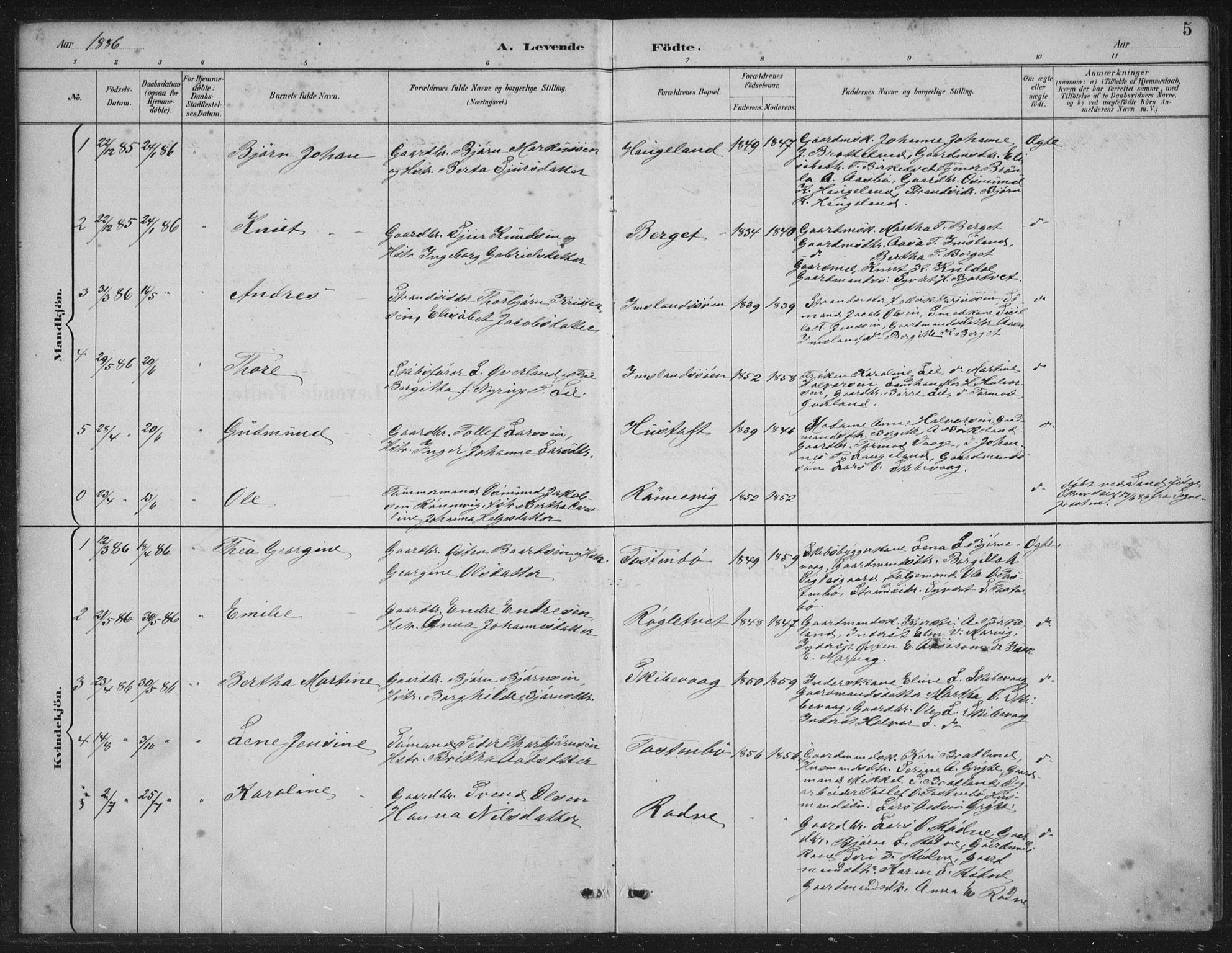 Vikedal sokneprestkontor, SAST/A-101840/01/IV: Parish register (official) no. A 12, 1886-1929, p. 5