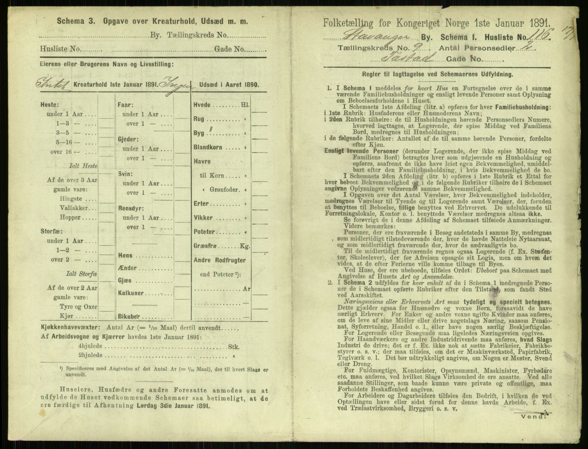 RA, 1891 census for 1103 Stavanger, 1891, p. 1891