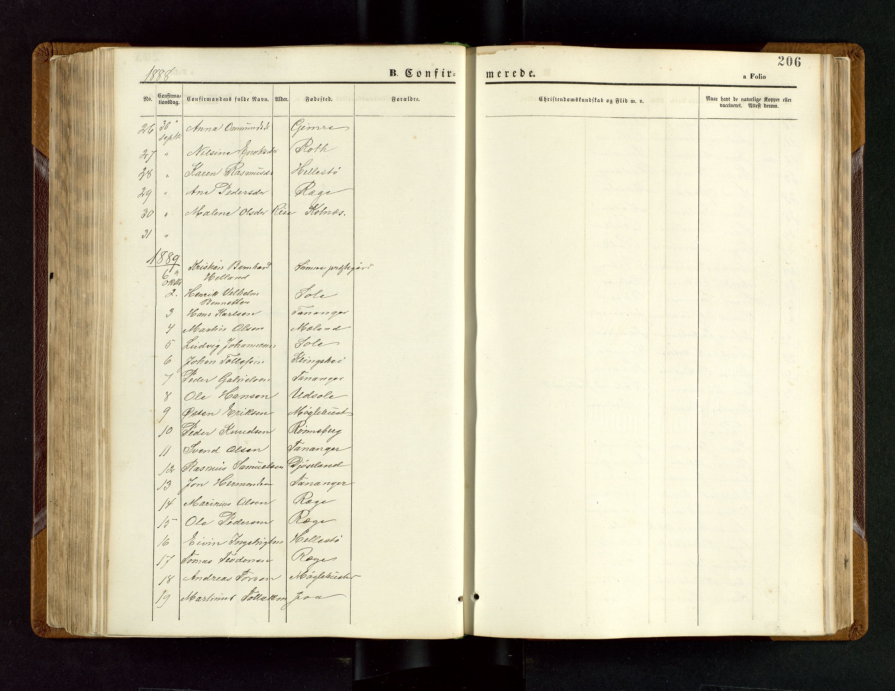 Håland sokneprestkontor, SAST/A-101802/001/30BB/L0003: Parish register (copy) no. B 3, 1873-1893, p. 206