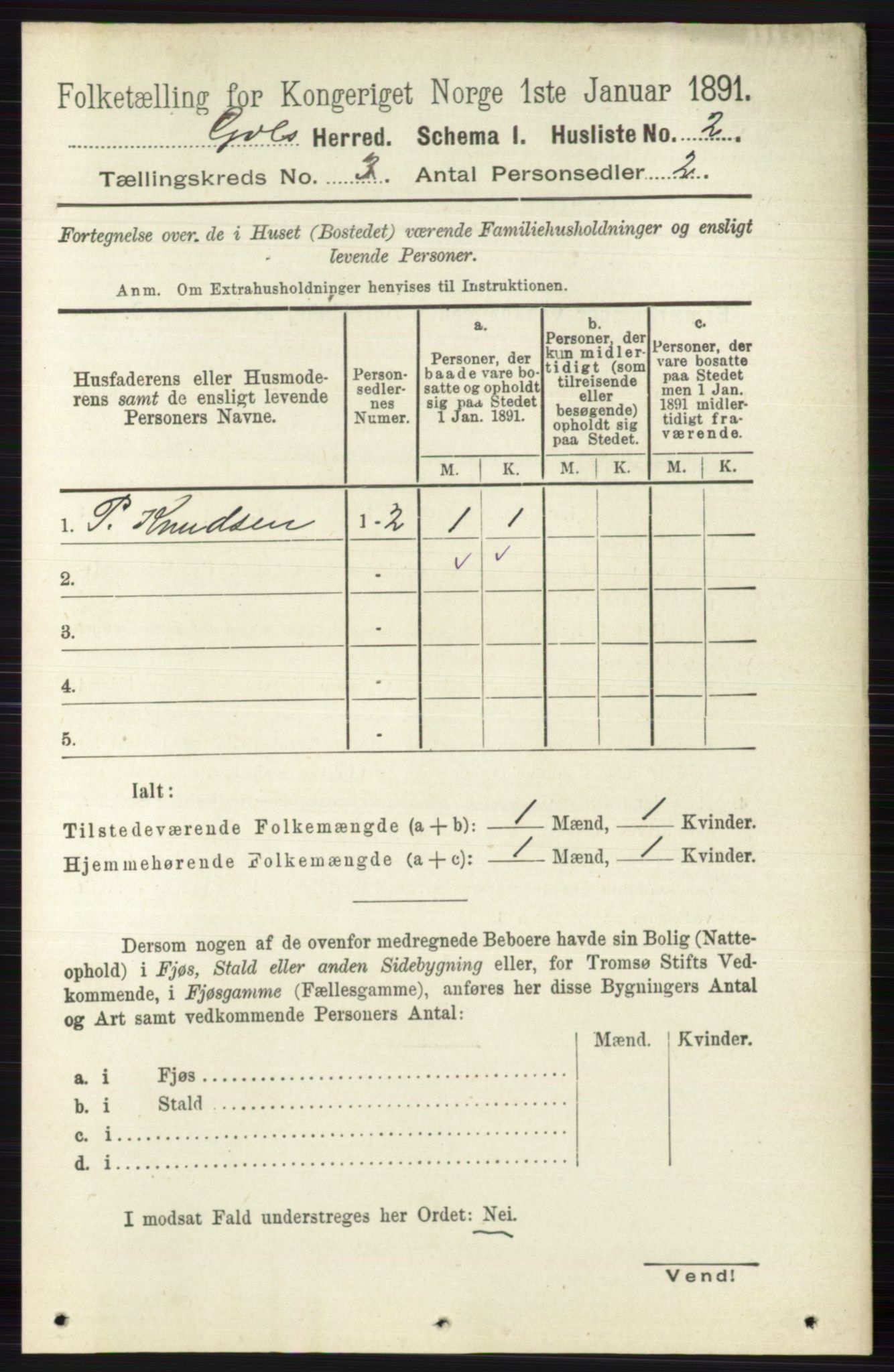 RA, 1891 census for 0617 Gol og Hemsedal, 1891, p. 1196