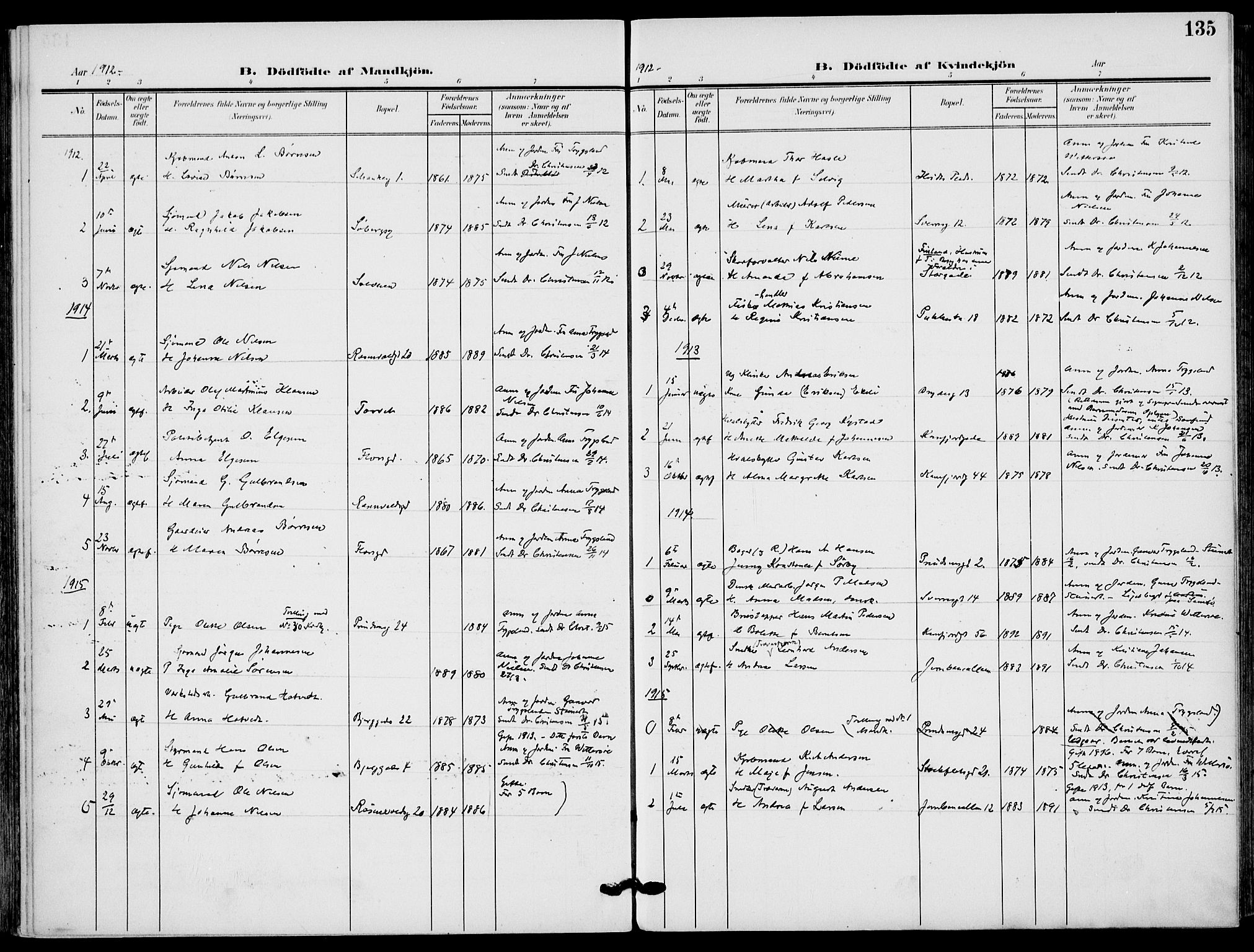 Sandefjord kirkebøker, SAKO/A-315/F/Fa/L0005: Parish register (official) no. 5, 1906-1915, p. 135