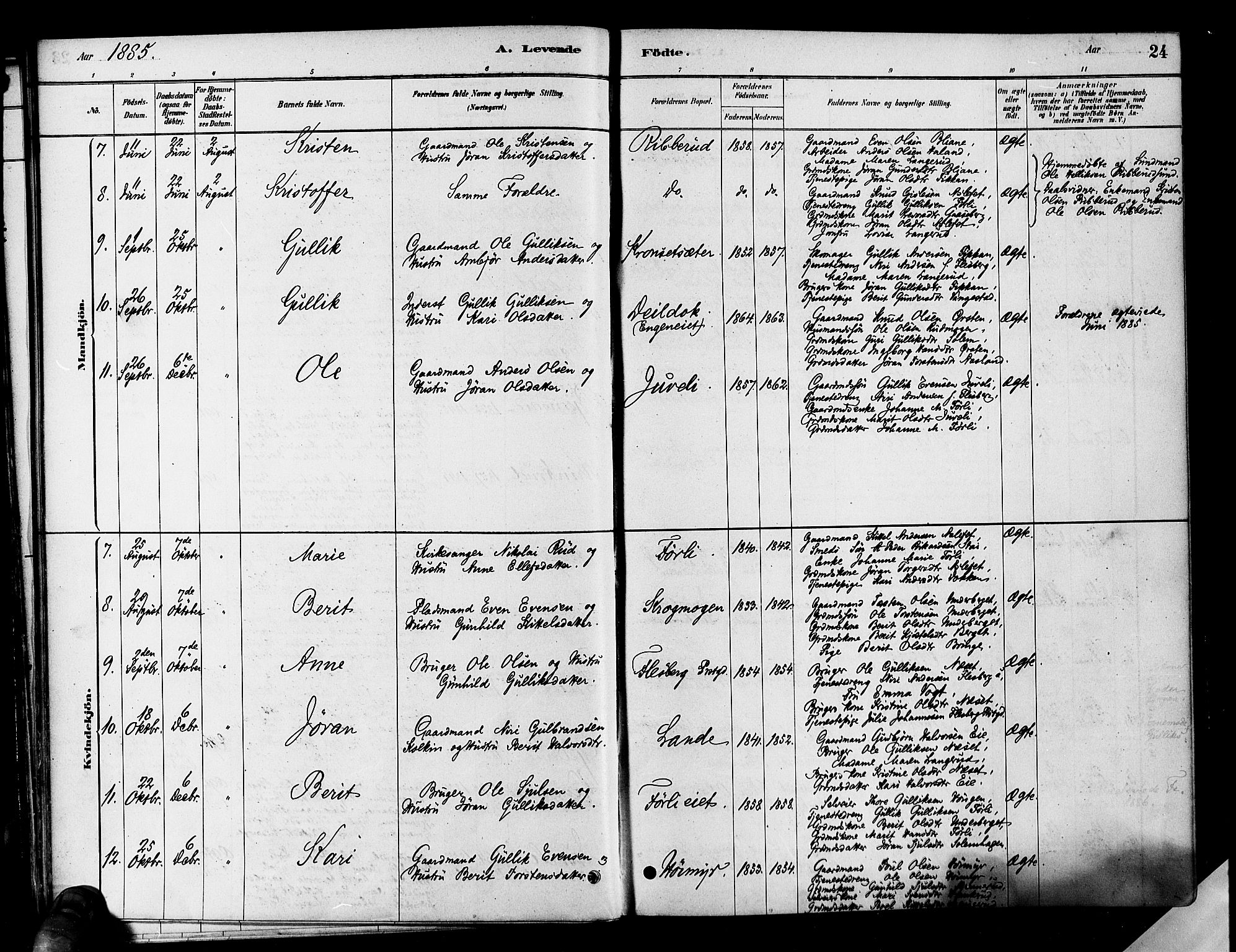Flesberg kirkebøker, SAKO/A-18/F/Fa/L0008: Parish register (official) no. I 8, 1879-1899, p. 24