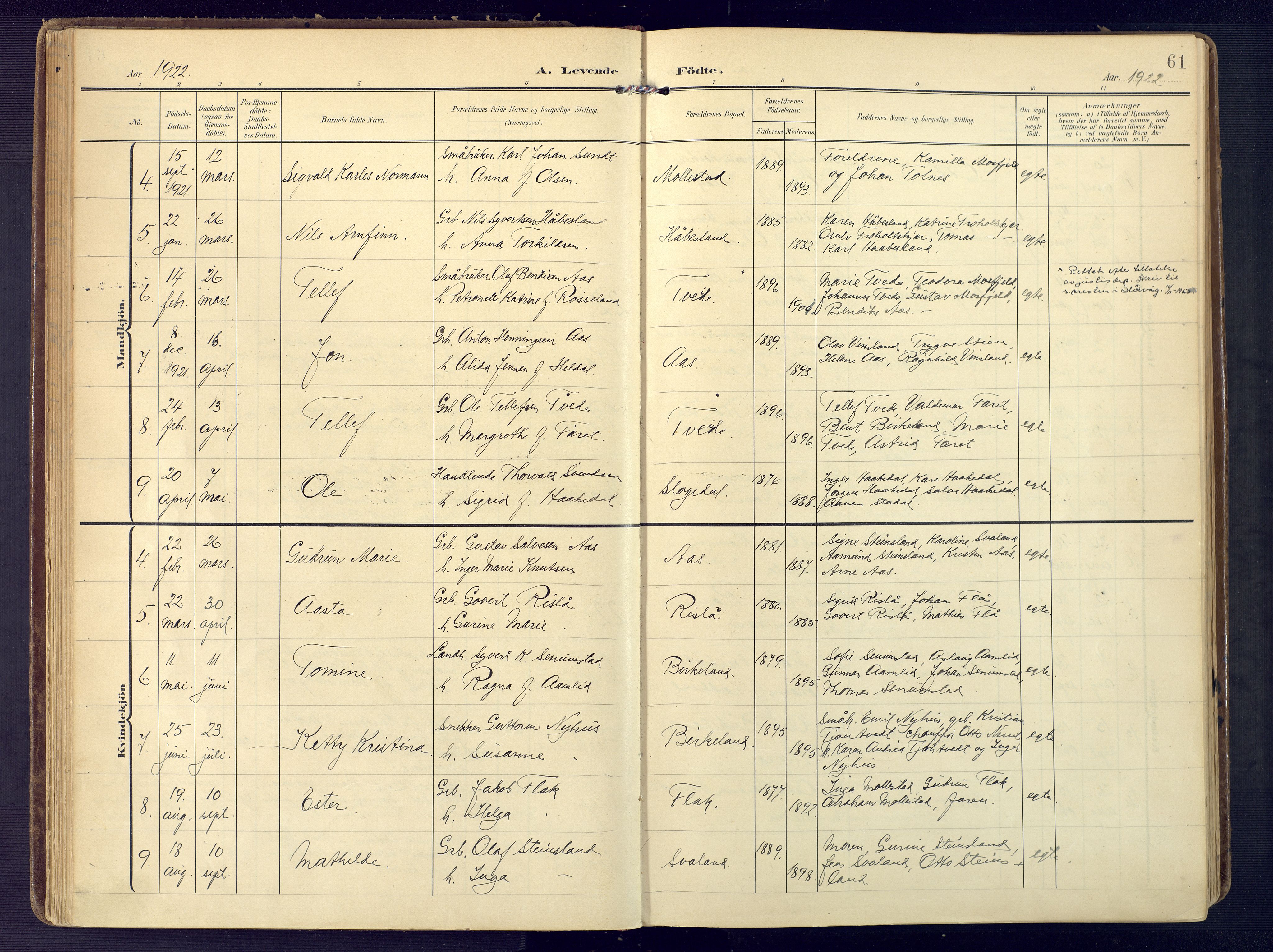 Birkenes sokneprestkontor, AV/SAK-1111-0004/F/Fa/L0006: Parish register (official) no. A 6, 1908-1932, p. 61