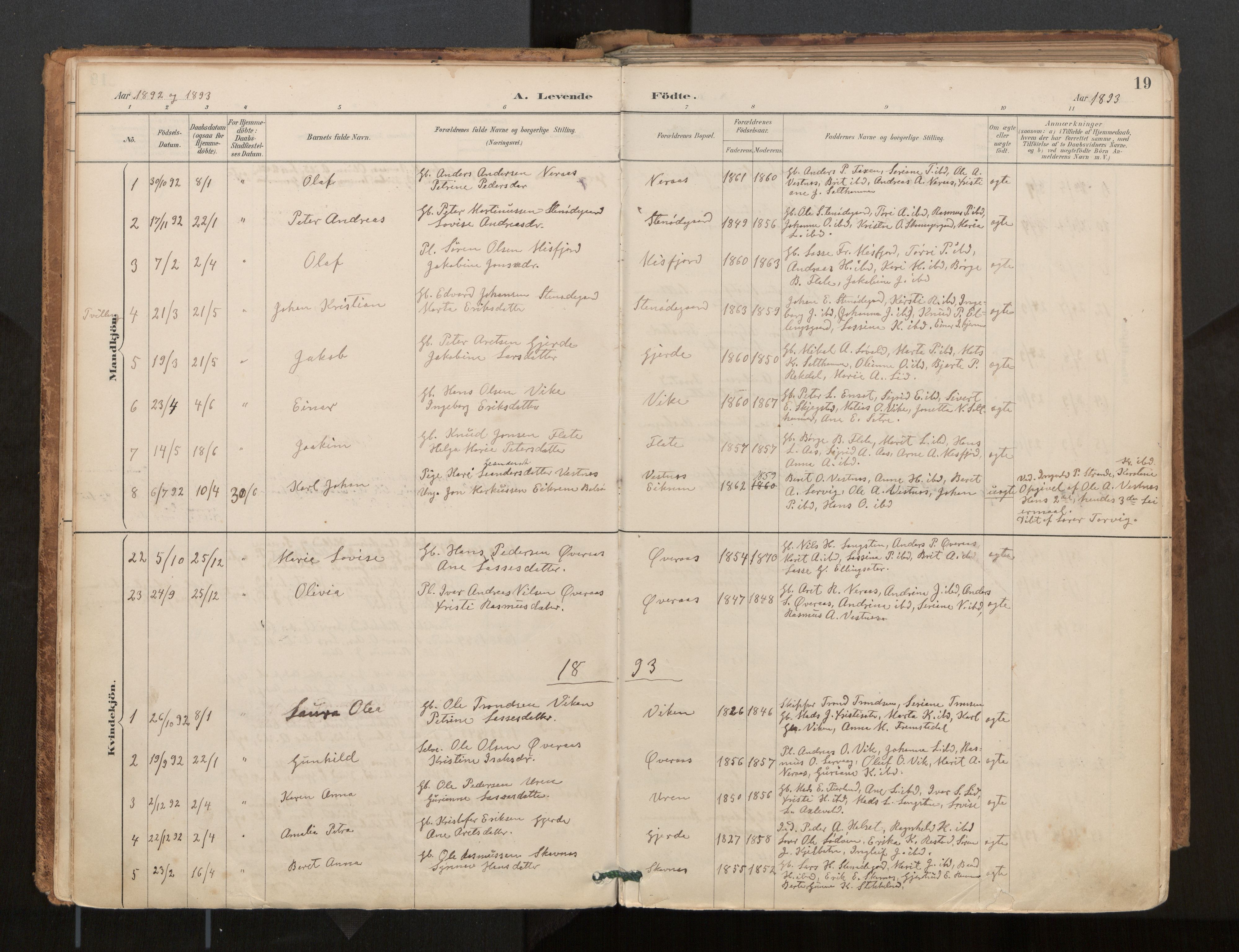 Ministerialprotokoller, klokkerbøker og fødselsregistre - Møre og Romsdal, AV/SAT-A-1454/539/L0531: Parish register (official) no. 539A04, 1887-1913, p. 19