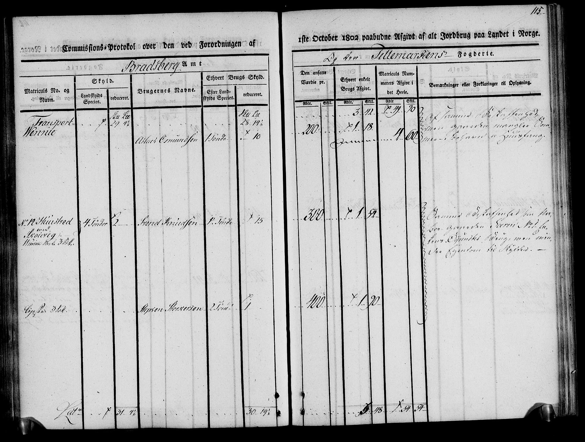 Rentekammeret inntil 1814, Realistisk ordnet avdeling, AV/RA-EA-4070/N/Ne/Nea/L0075: Øvre Telemarken fogderi. Kommisjonsprotokoll for fogderiets vestre del - Kviteseid, Vinje, Moland [):Fyresdal] og Lårdal prestegjeld., 1803, p. 116