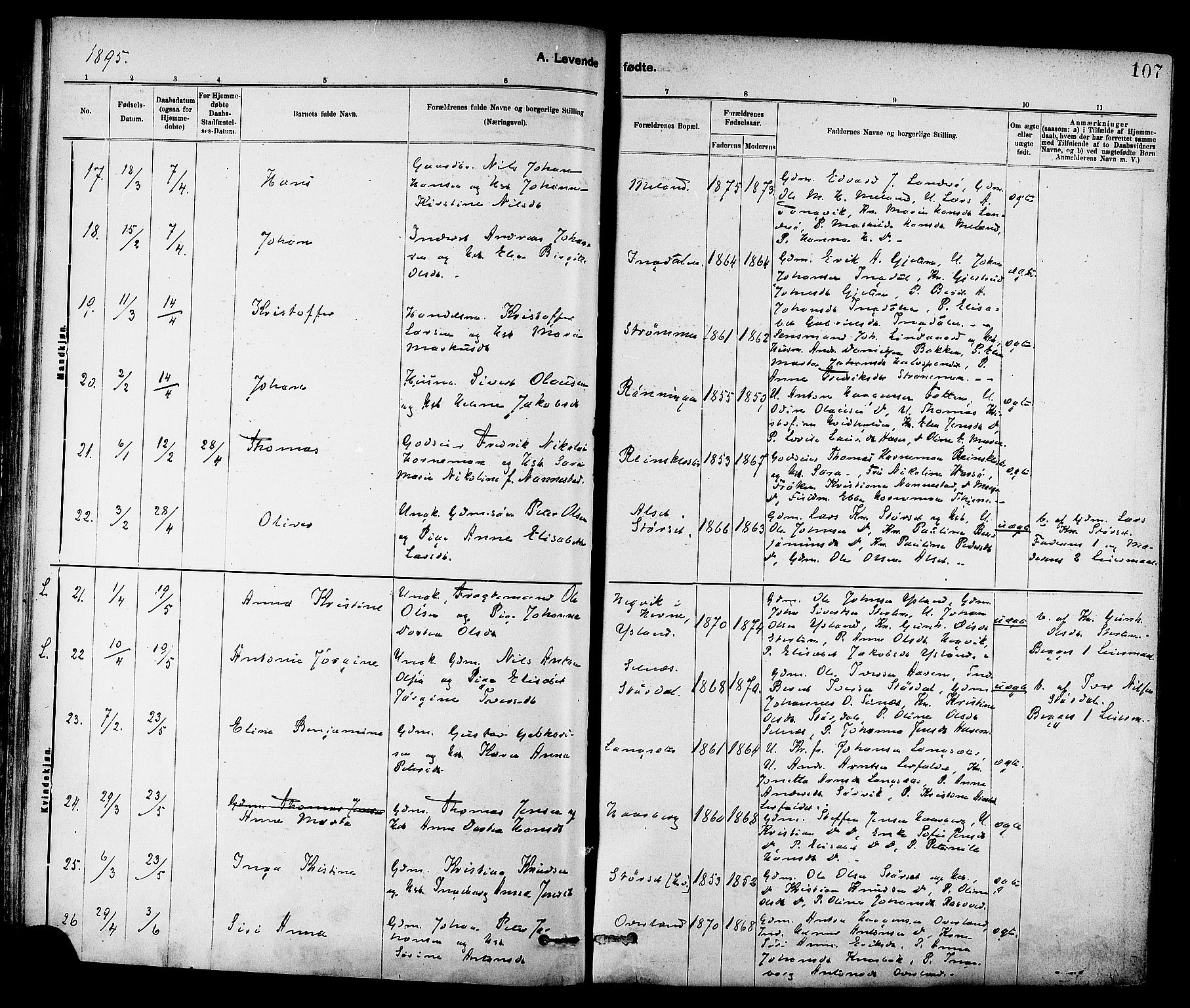 Ministerialprotokoller, klokkerbøker og fødselsregistre - Sør-Trøndelag, SAT/A-1456/647/L0634: Parish register (official) no. 647A01, 1885-1896, p. 107