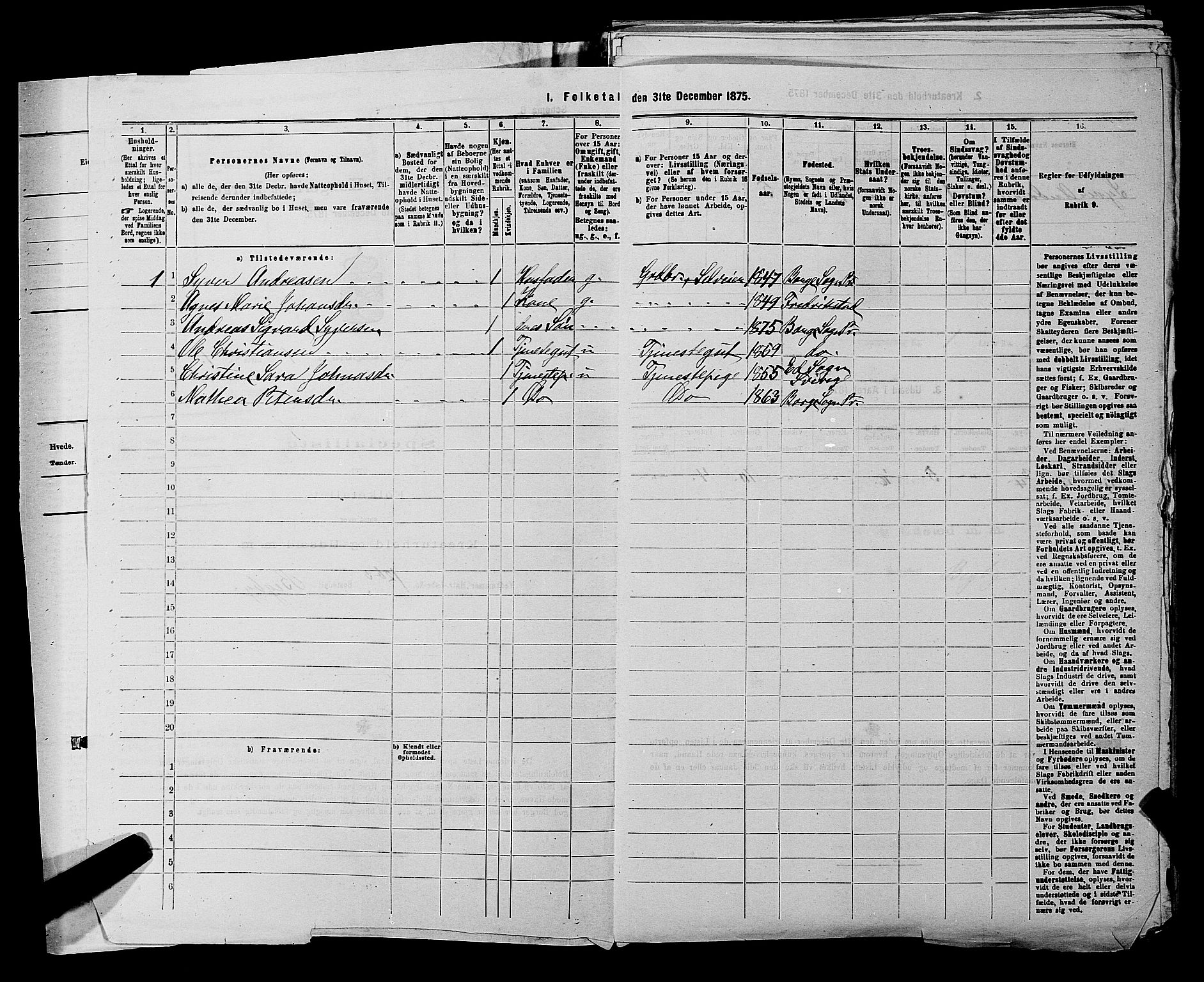 RA, 1875 census for 0113P Borge, 1875, p. 30