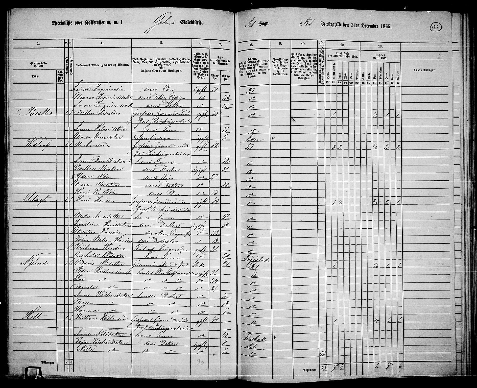 RA, 1865 census for Fet, 1865, p. 117