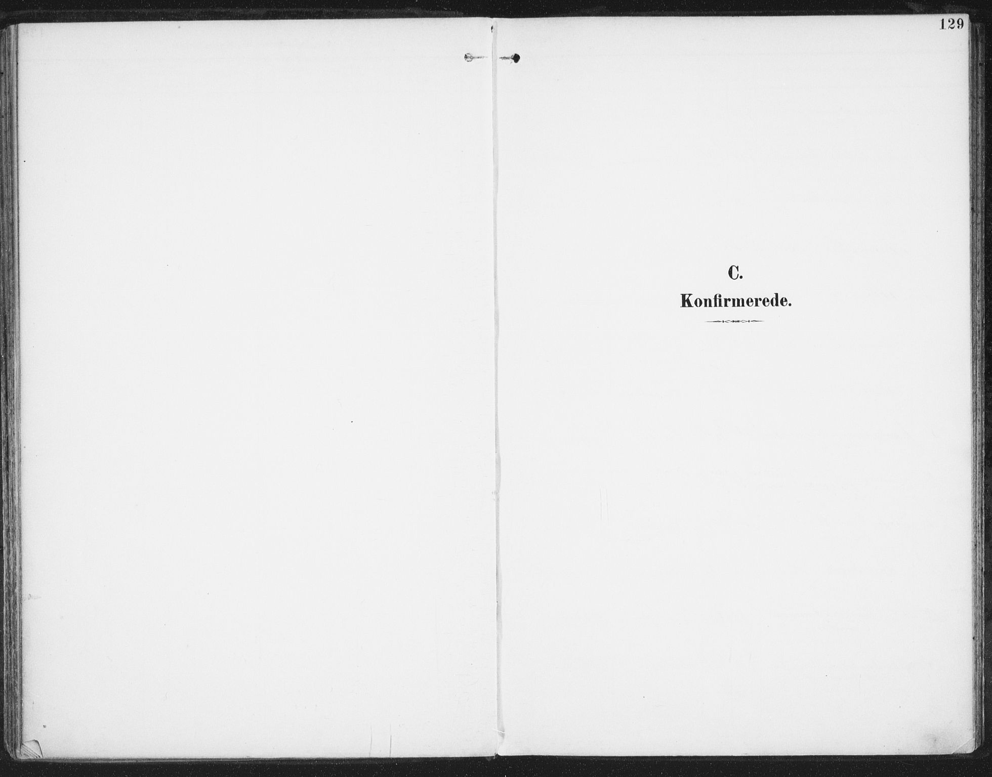 Ministerialprotokoller, klokkerbøker og fødselsregistre - Nordland, SAT/A-1459/872/L1036: Parish register (official) no. 872A11, 1897-1913, p. 129