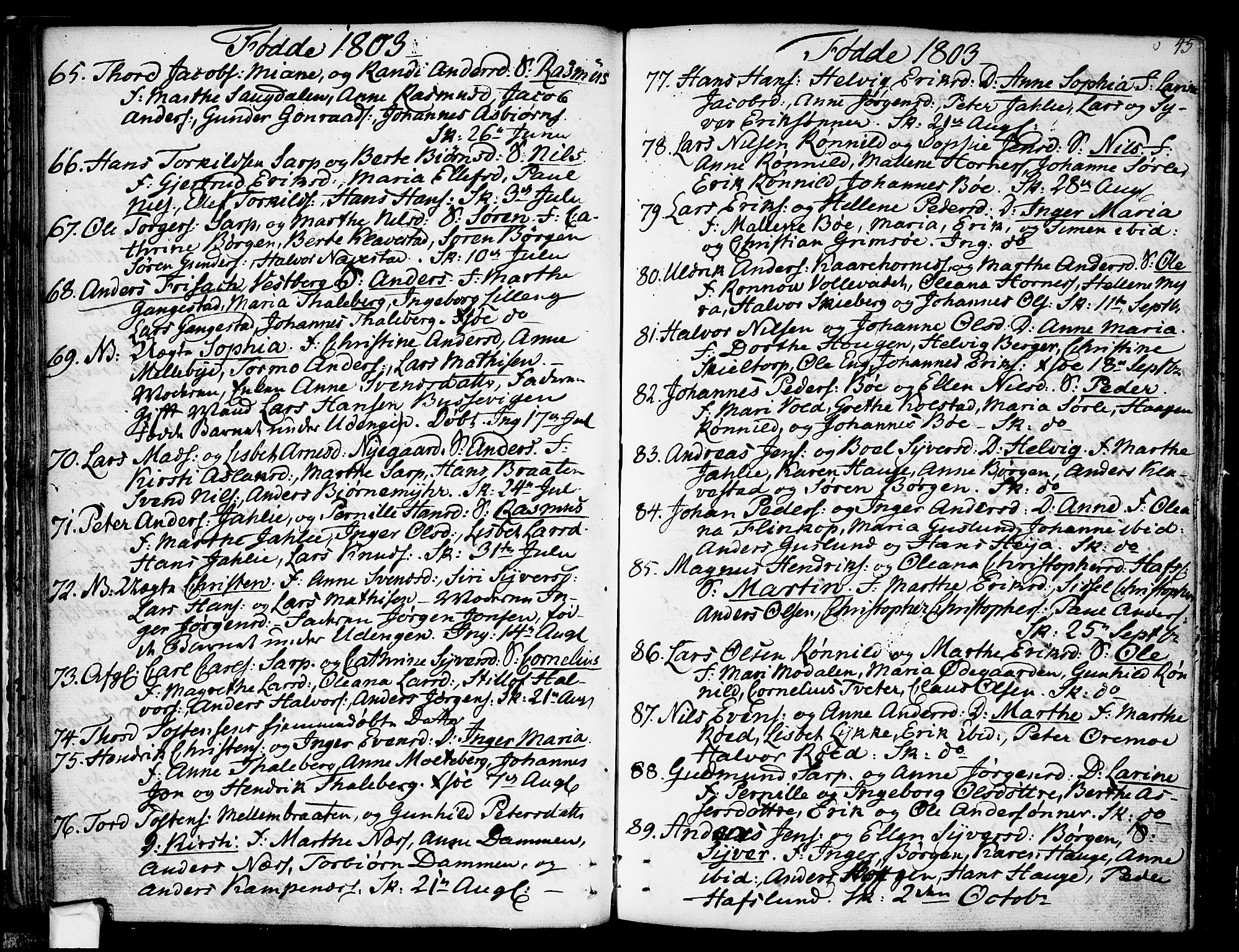 Skjeberg prestekontor Kirkebøker, SAO/A-10923/F/Fa/L0003: Parish register (official) no. I 3, 1792-1814, p. 45
