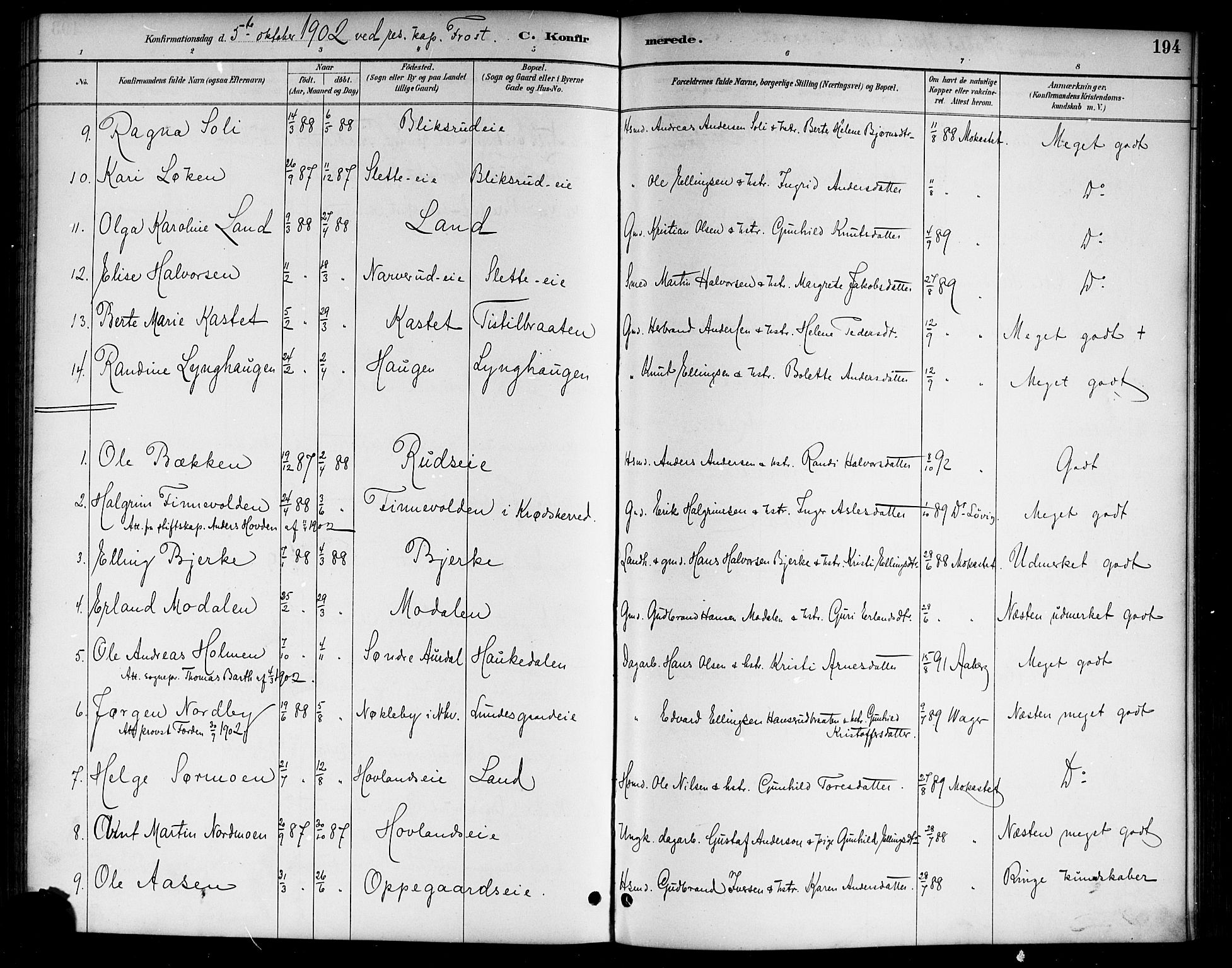 Lunder kirkebøker, AV/SAKO-A-629/G/Ga/L0004: Parish register (copy) no. I 4, 1889-1917, p. 194