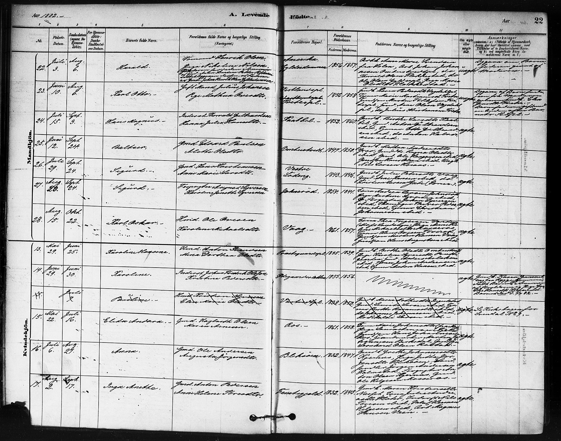 Våler prestekontor Kirkebøker, AV/SAO-A-11083/F/Fa/L0010: Parish register (official) no. I 10, 1878-1896, p. 22