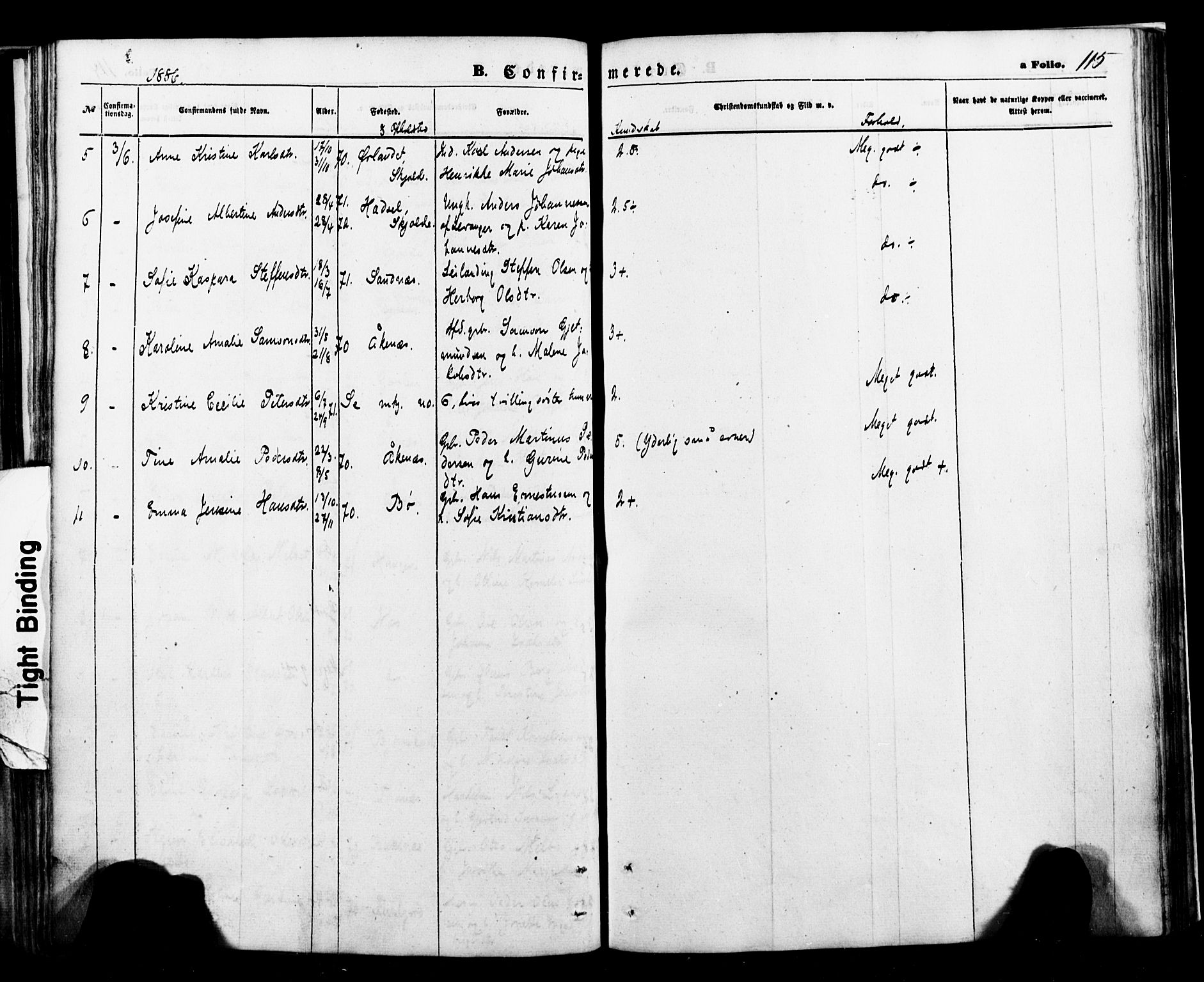 Ministerialprotokoller, klokkerbøker og fødselsregistre - Nordland, AV/SAT-A-1459/898/L1421: Parish register (official) no. 898A01, 1866-1886, p. 115