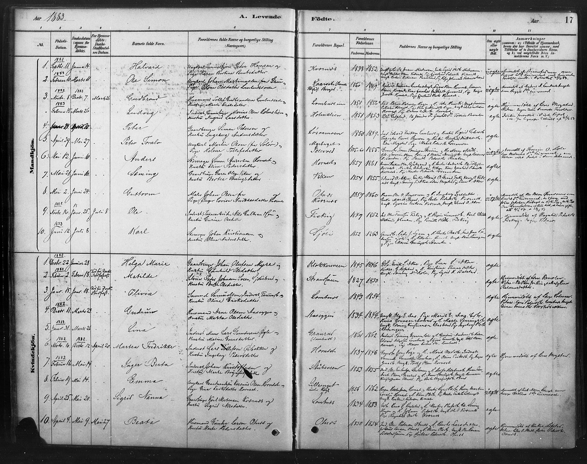 Rendalen prestekontor, AV/SAH-PREST-054/H/Ha/Haa/L0010: Parish register (official) no. 10, 1878-1901, p. 17