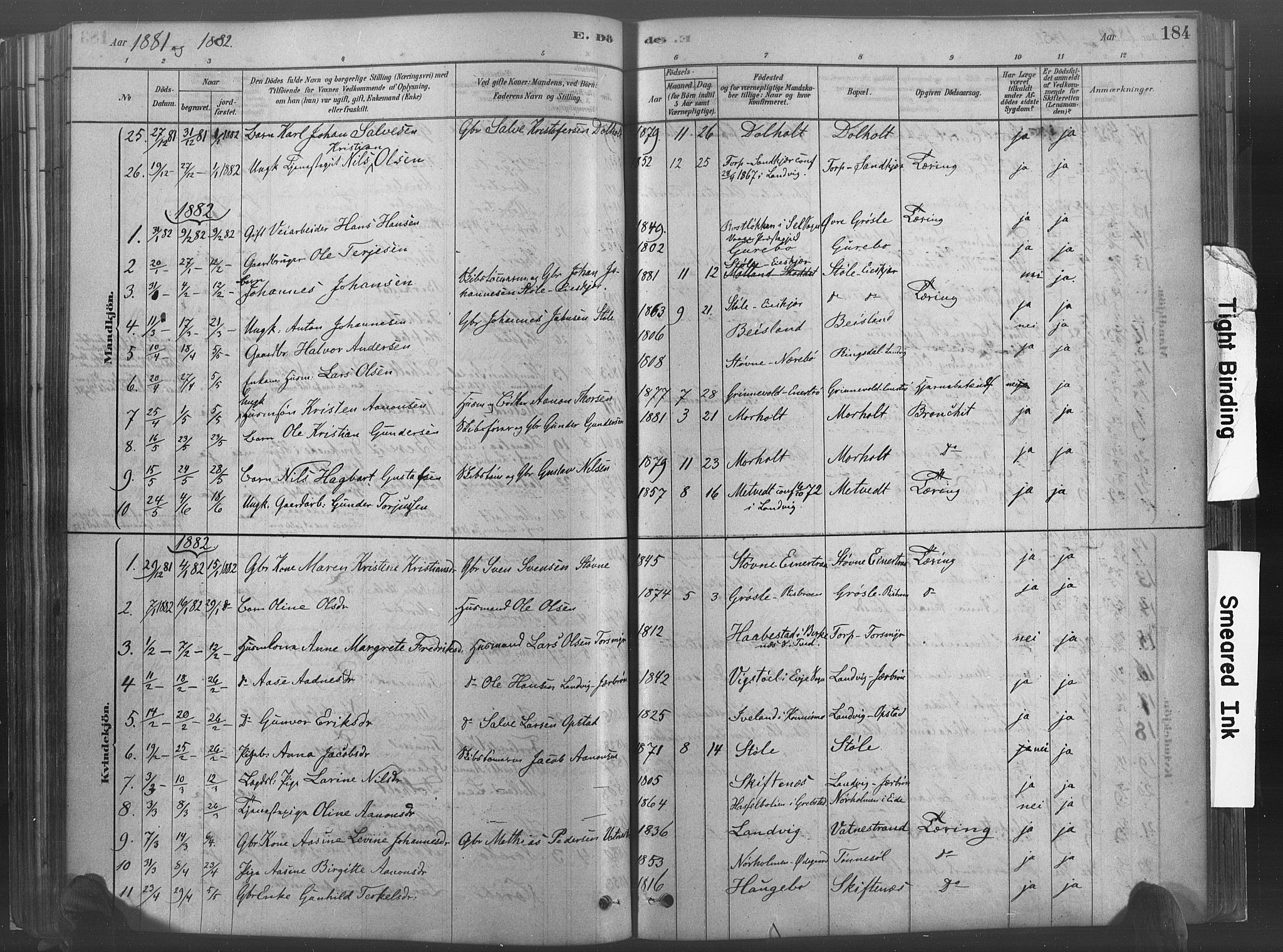 Hommedal sokneprestkontor, AV/SAK-1111-0023/F/Fa/Fab/L0006: Parish register (official) no. A 6, 1878-1897, p. 184