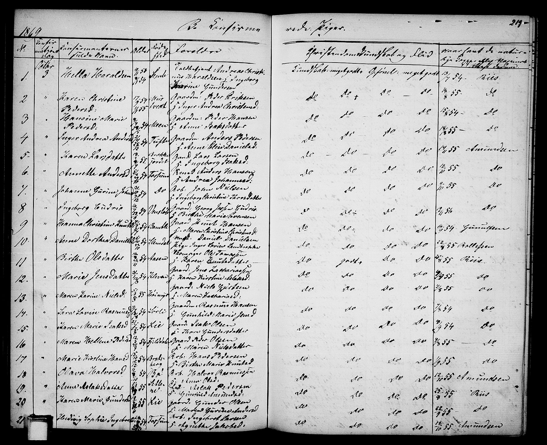 Gjerpen kirkebøker, SAKO/A-265/G/Ga/L0001: Parish register (copy) no. I 1, 1864-1882, p. 219