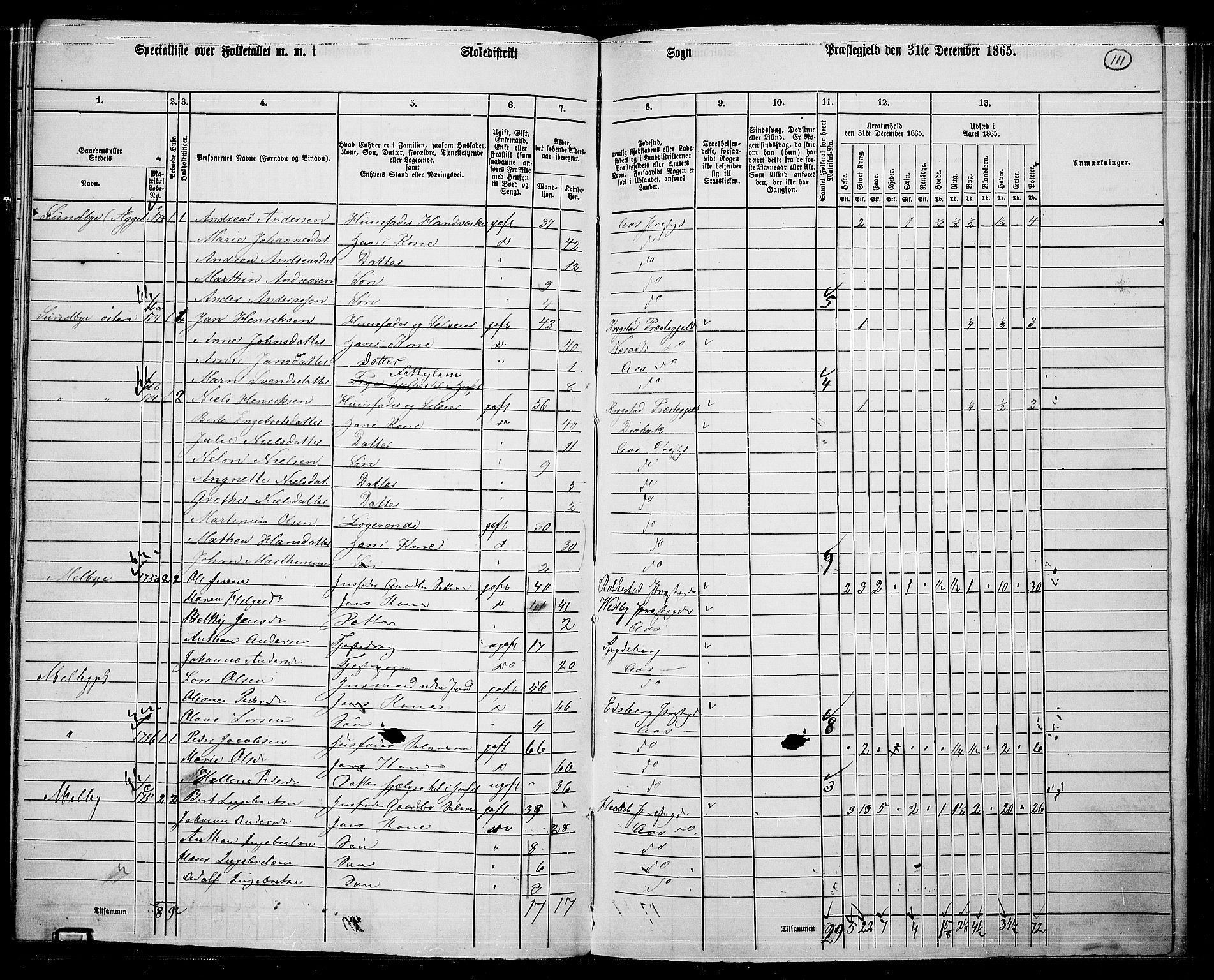 RA, 1865 census for Ås, 1865, p. 99