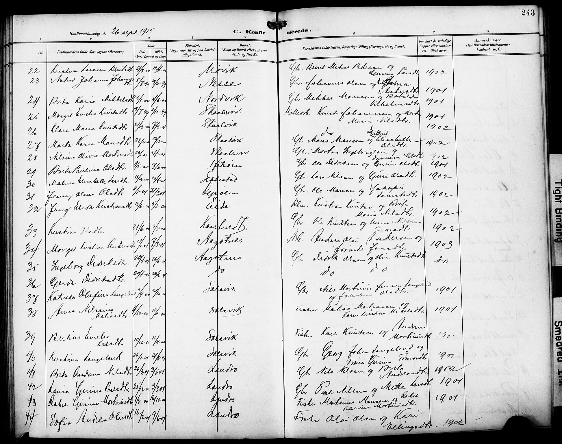 Fjell sokneprestembete, SAB/A-75301/H/Hab: Parish register (copy) no. A 5, 1899-1918, p. 243