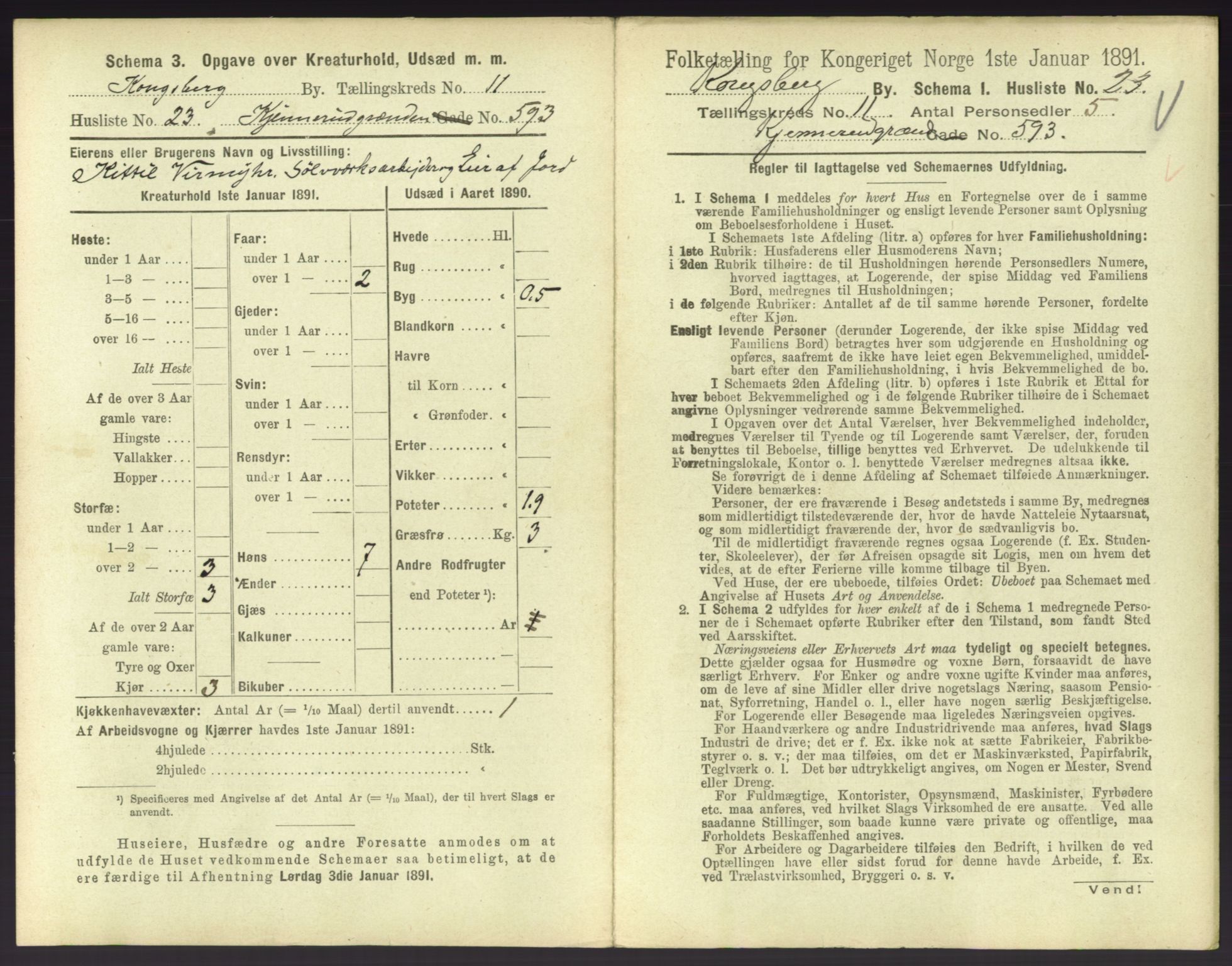 RA, 1891 census for 0604 Kongsberg, 1891, p. 1497