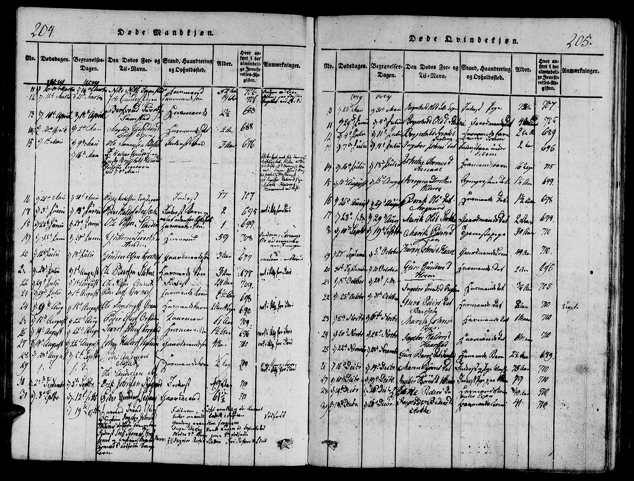 Ministerialprotokoller, klokkerbøker og fødselsregistre - Sør-Trøndelag, AV/SAT-A-1456/695/L1141: Parish register (official) no. 695A04 /1, 1816-1824, p. 204-205