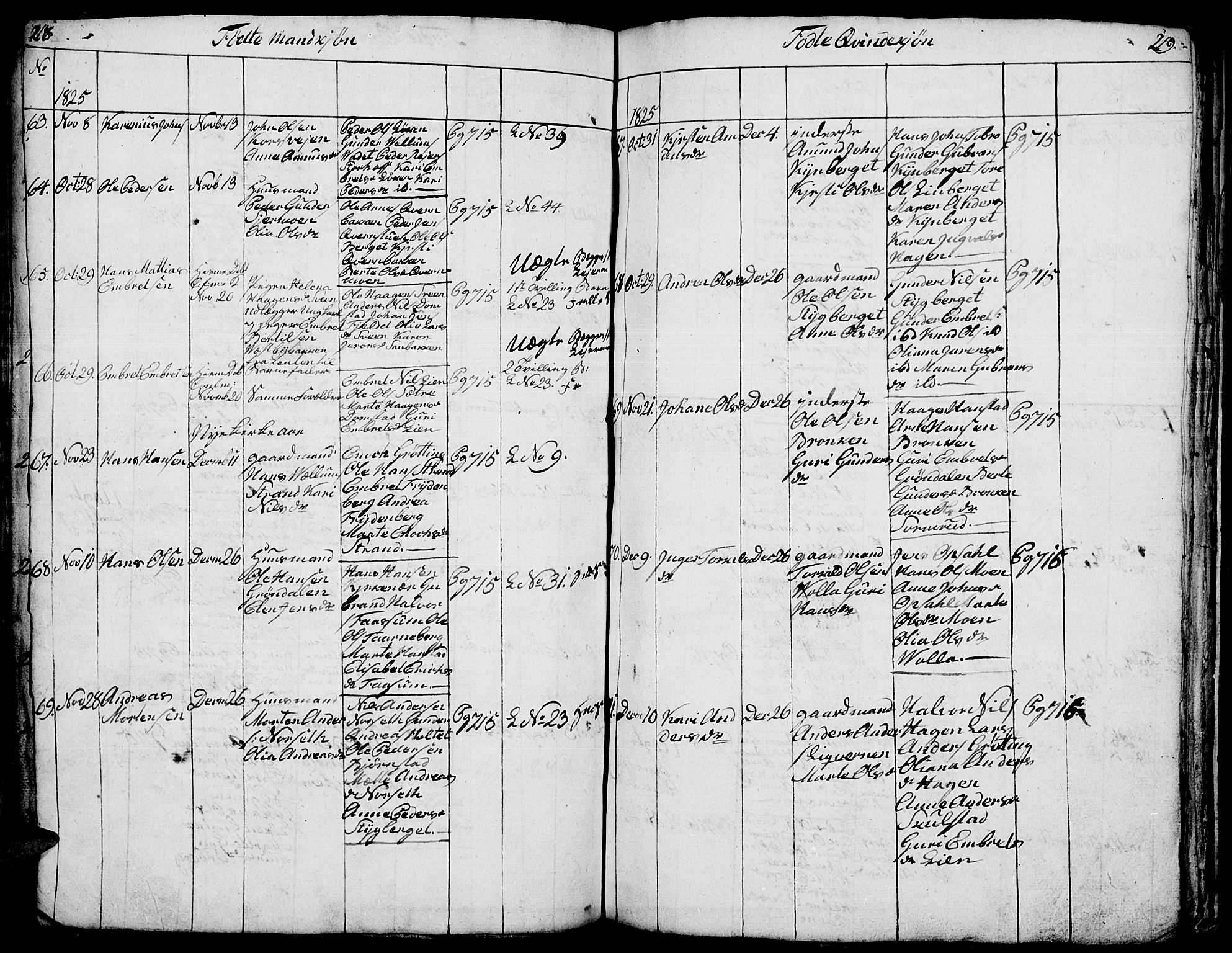 Elverum prestekontor, SAH/PREST-044/H/Ha/Hab/L0001: Parish register (copy) no. 1, 1815-1829, p. 218-219