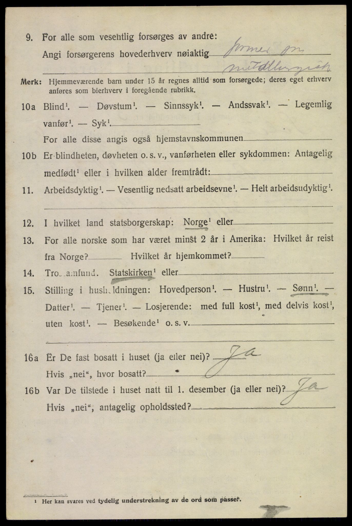 SAKO, 1920 census for Solum, 1920, p. 13175