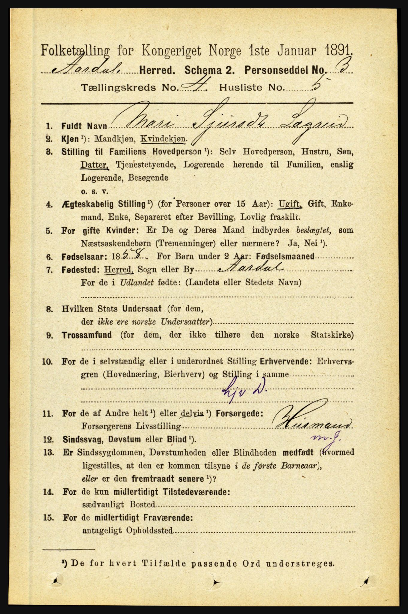 RA, 1891 census for 1424 Årdal, 1891, p. 673