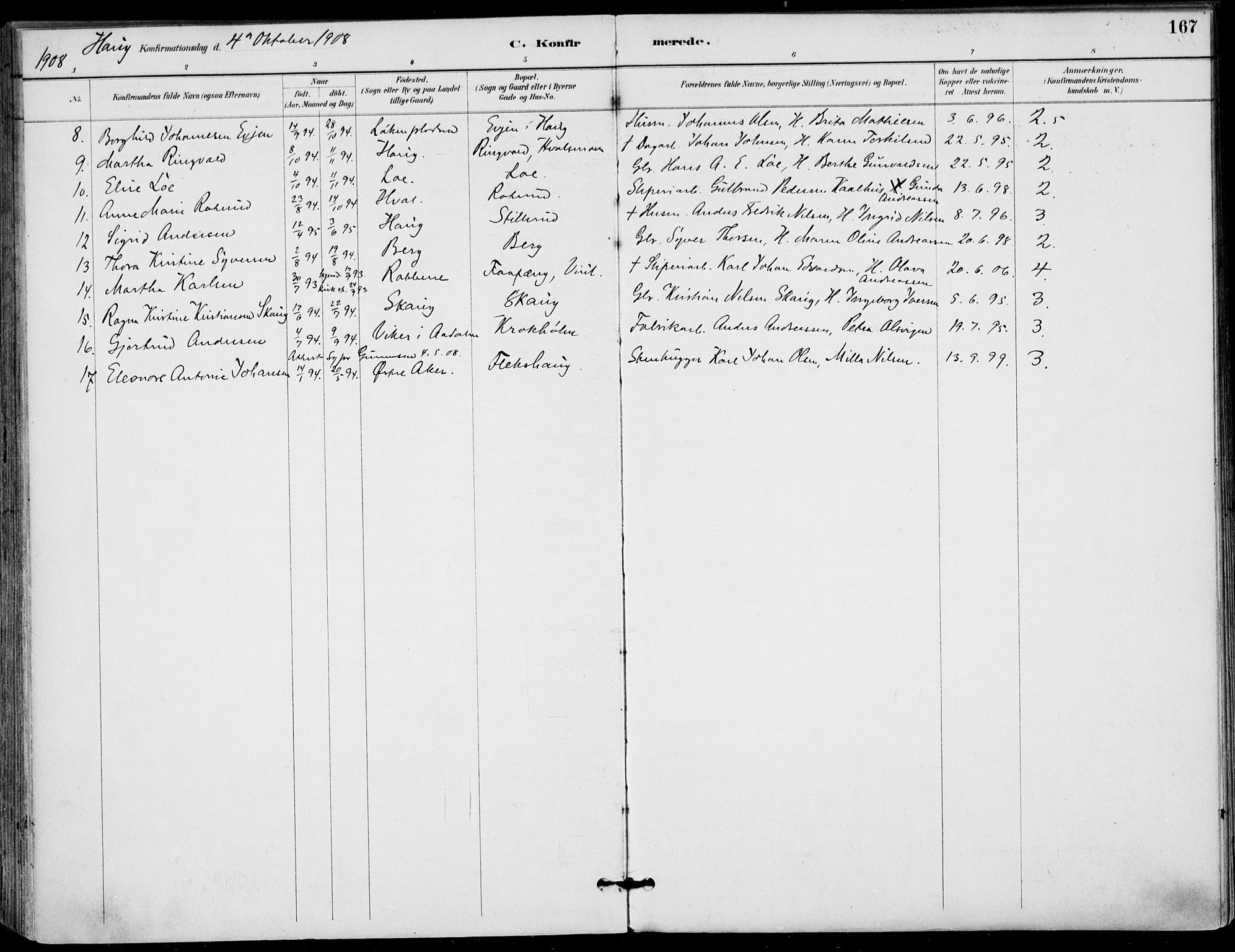 Haug kirkebøker, AV/SAKO-A-604/F/Fa/L0001: Parish register (official) no. 1, 1885-1917, p. 167