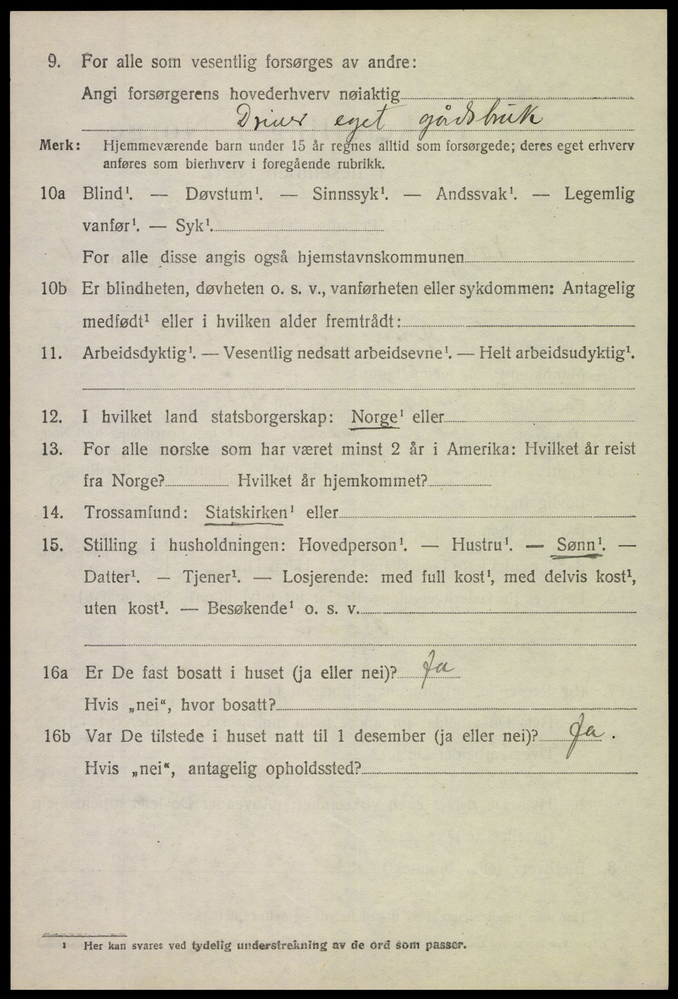 SAH, 1920 census for Vang (Oppland), 1920, p. 2646