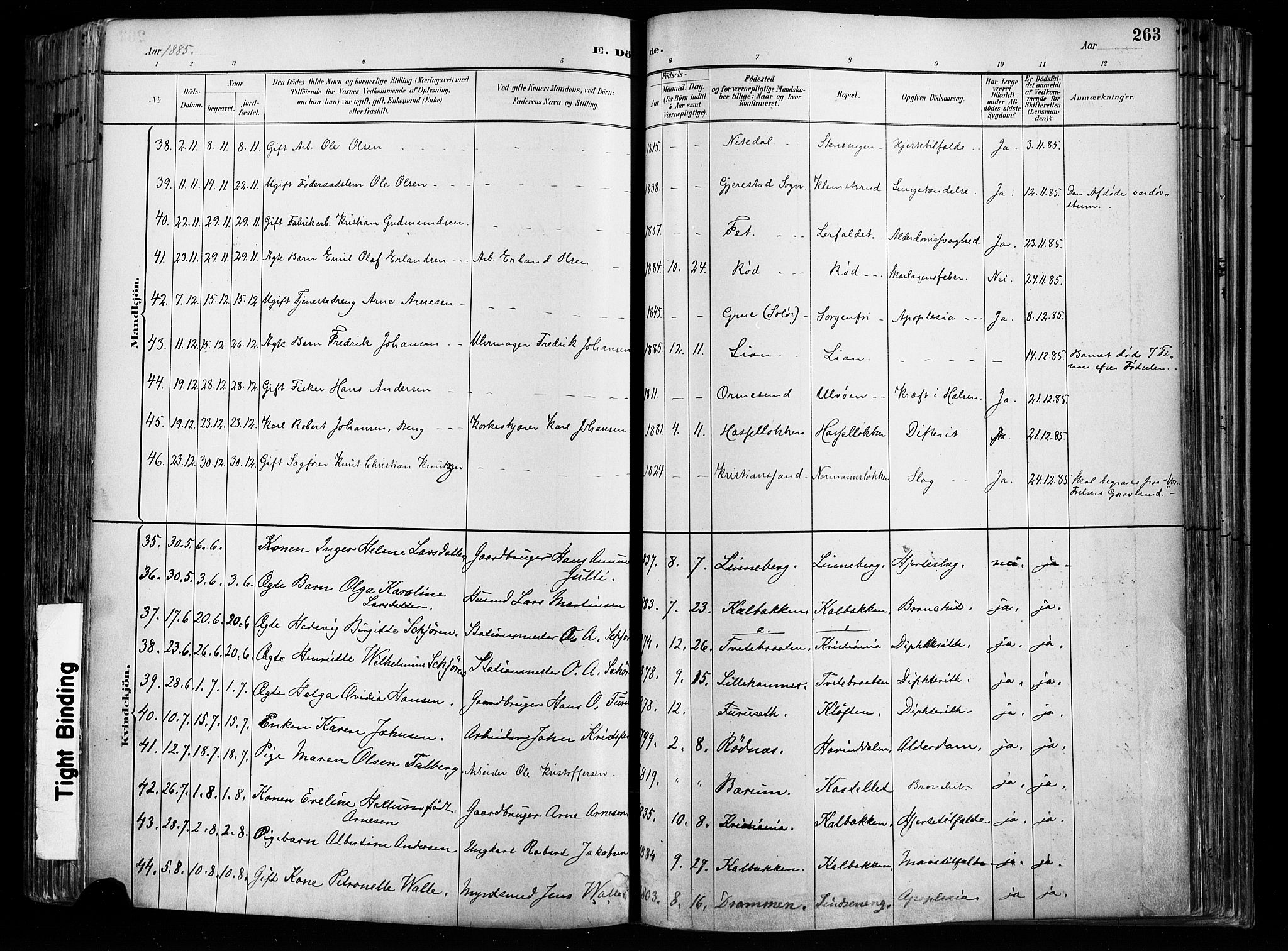 Østre Aker prestekontor Kirkebøker, AV/SAO-A-10840/F/Fa/L0008: Parish register (official) no. I 8, 1883-1894, p. 263